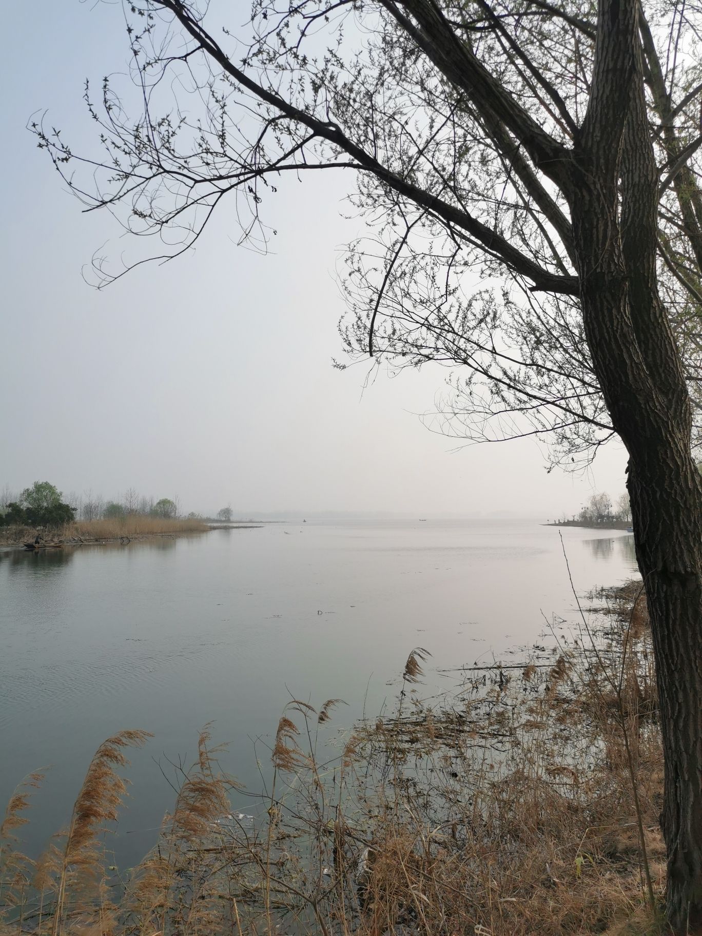 四方湖公园旅行图片 2