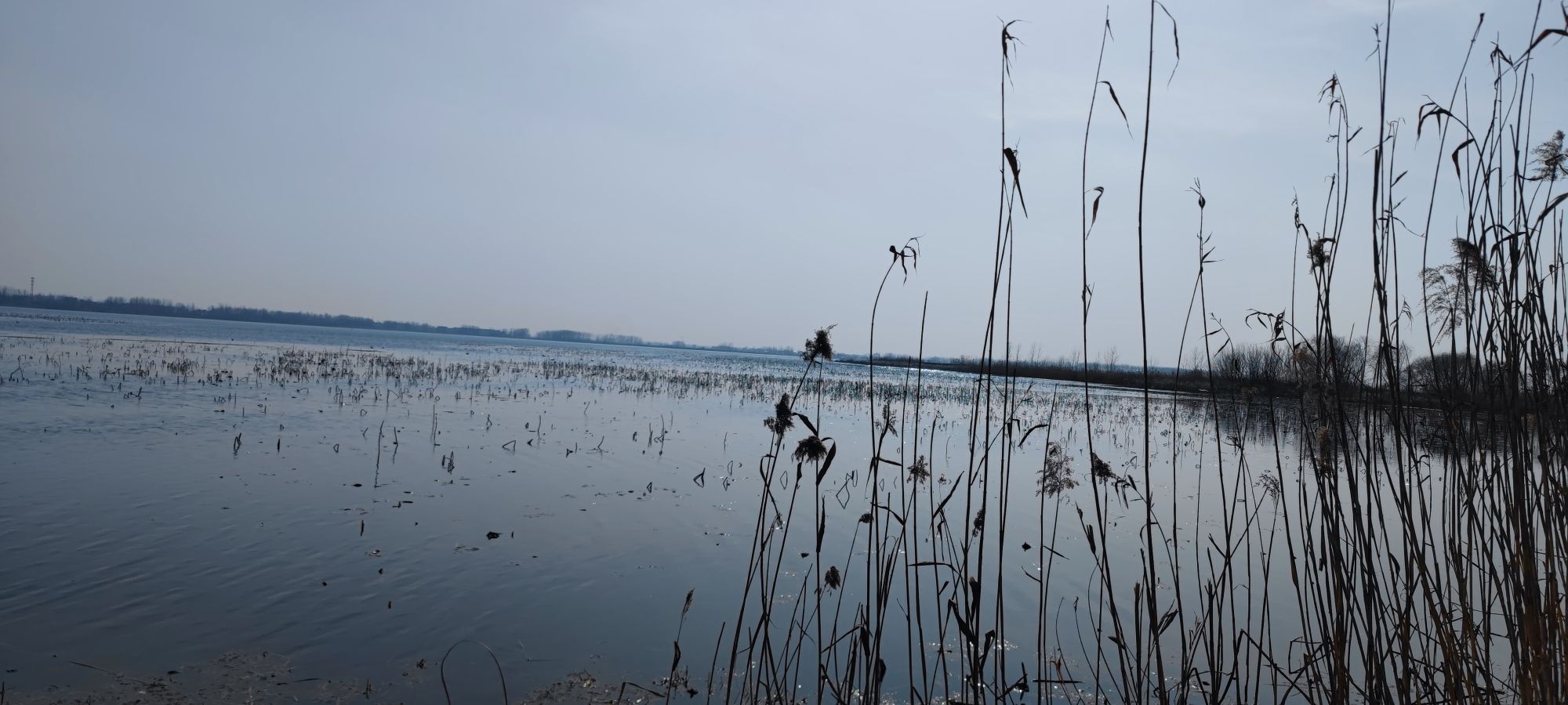 四方湖公园旅行图片 3