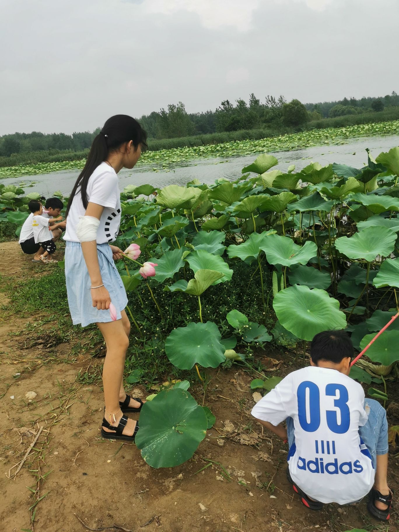 四方湖公园旅行图片 1