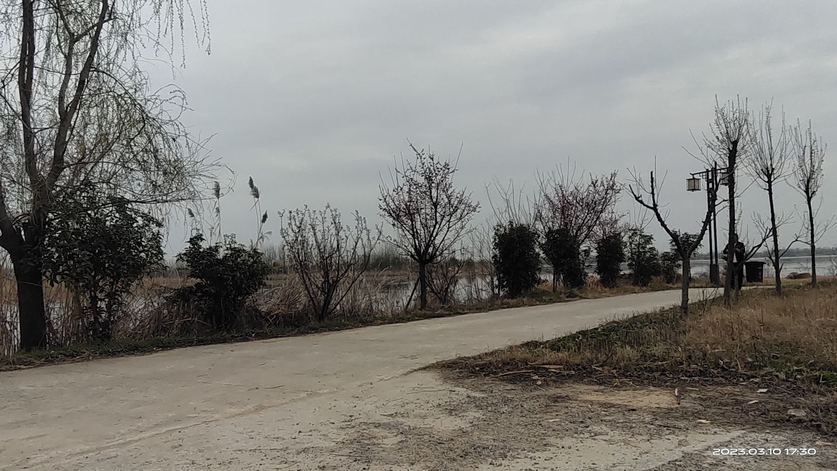 四方湖公园旅行图片 3