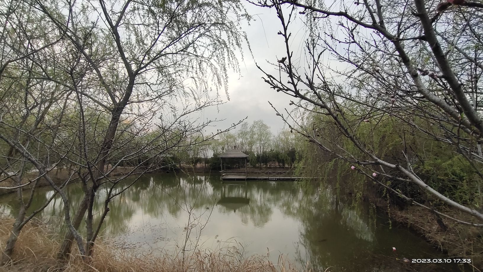 四方湖公园旅行图片 1