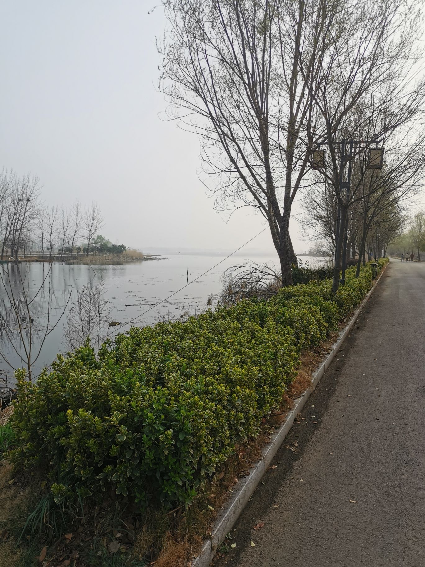 四方湖公园旅行图片 3