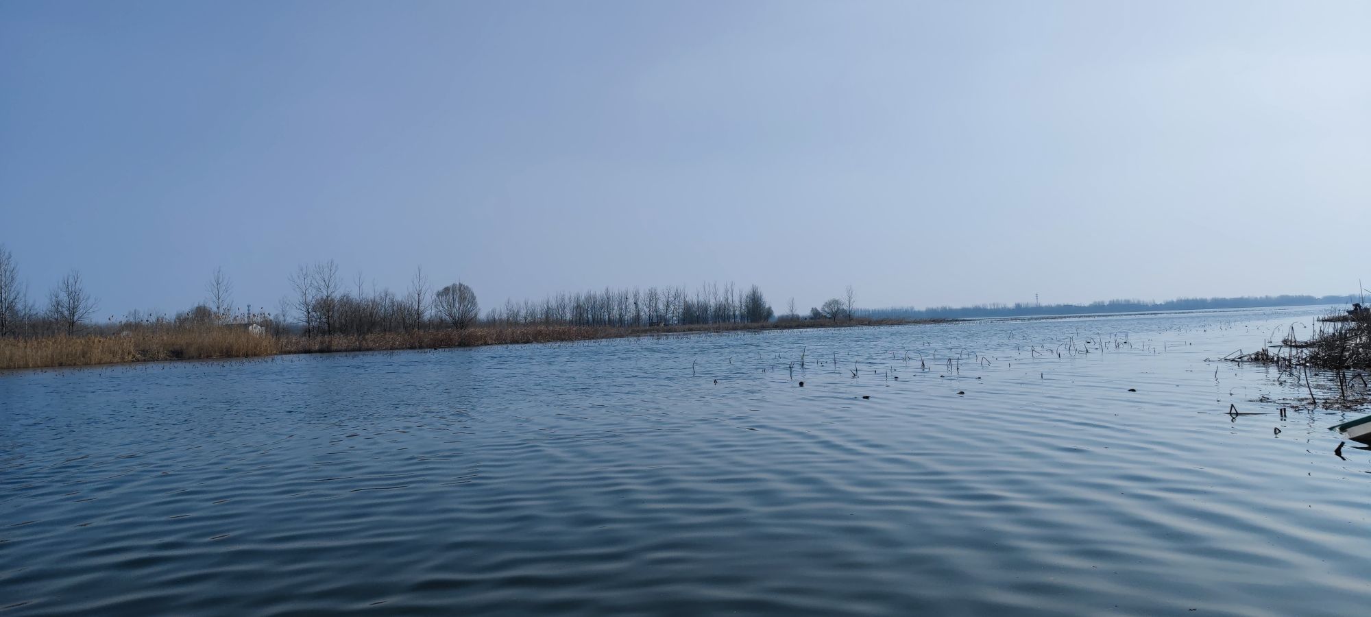 四方湖公园旅行图片 1