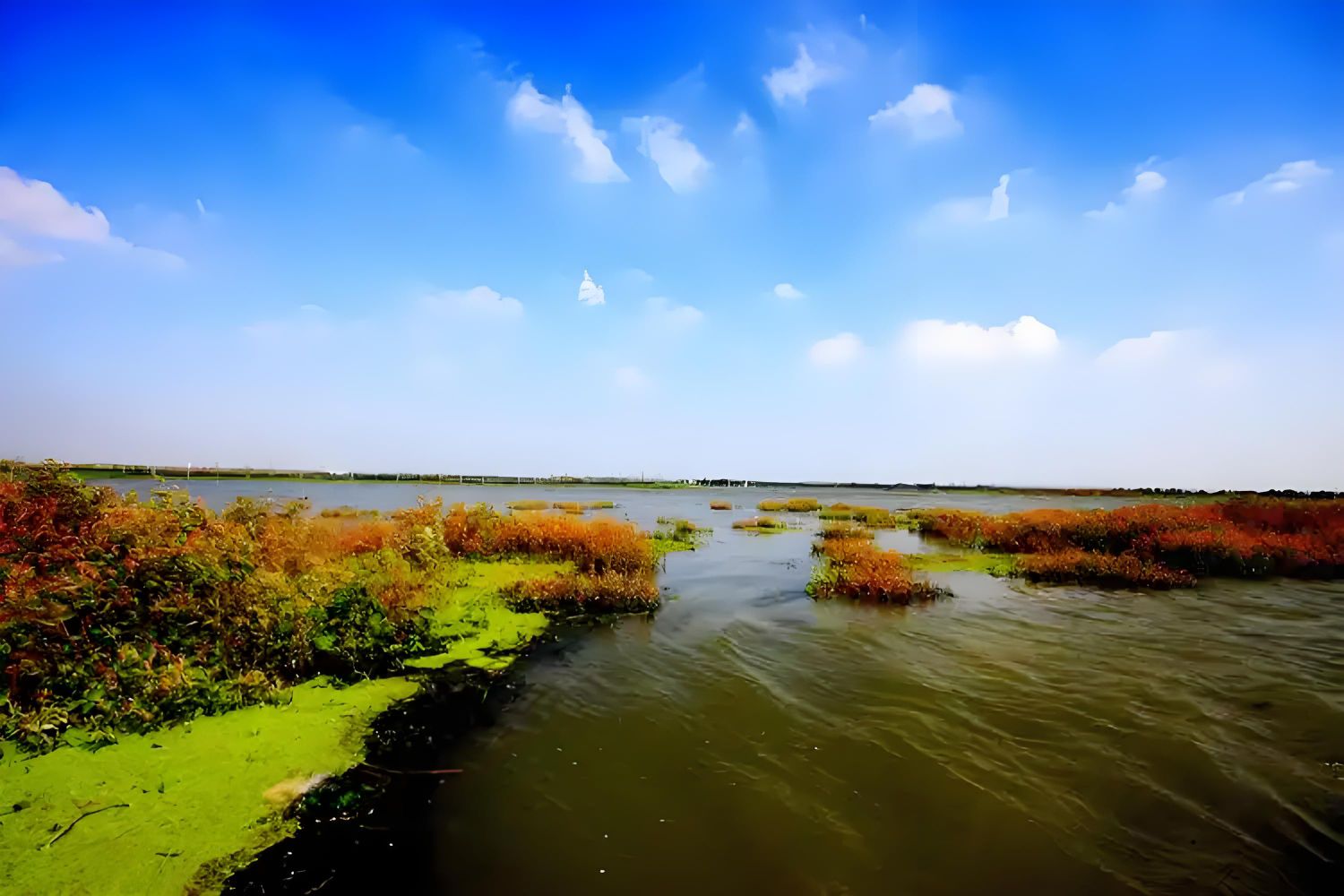 四方湖公园旅行图片 2