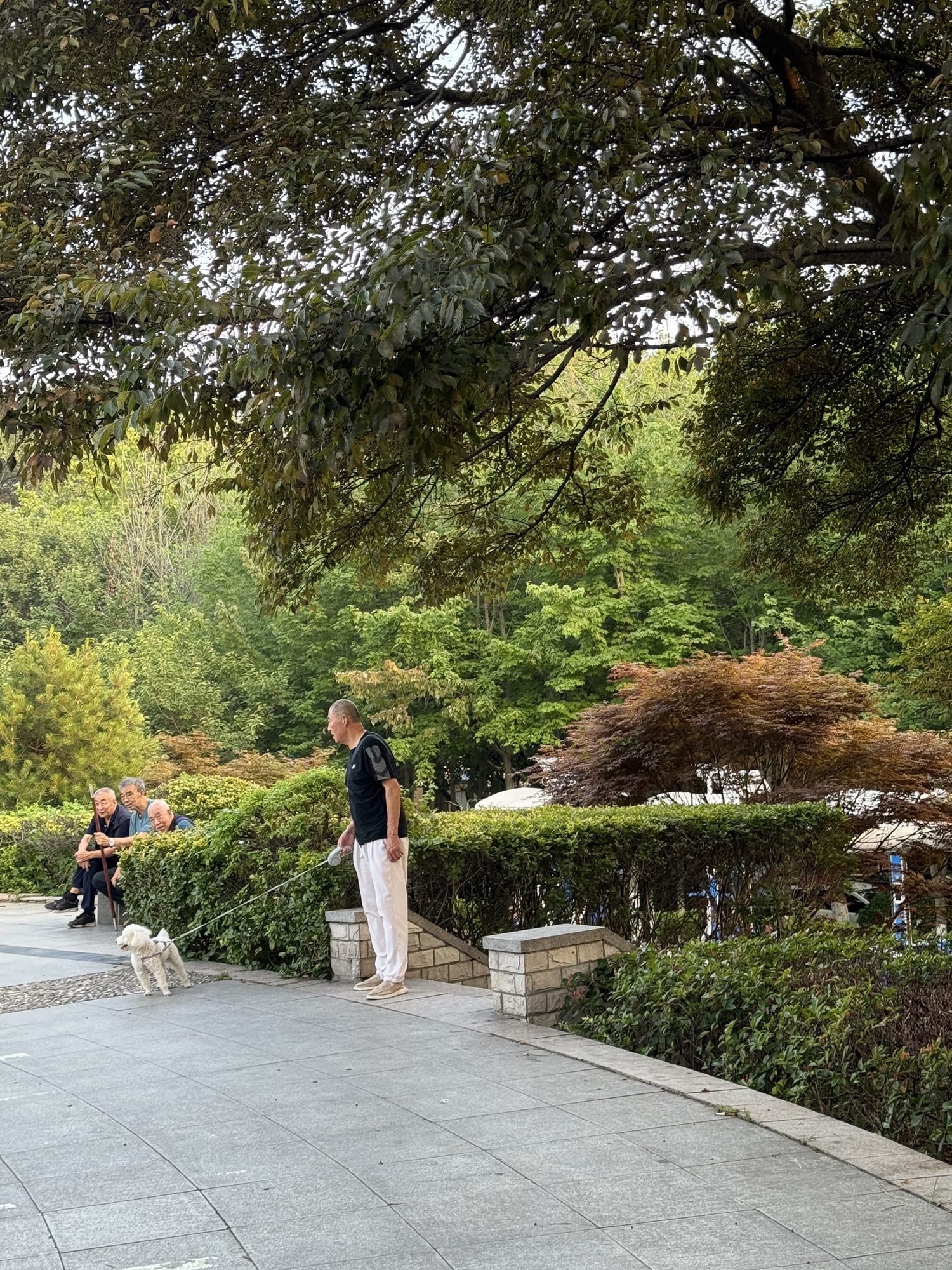法治文化广场旅行图片 3