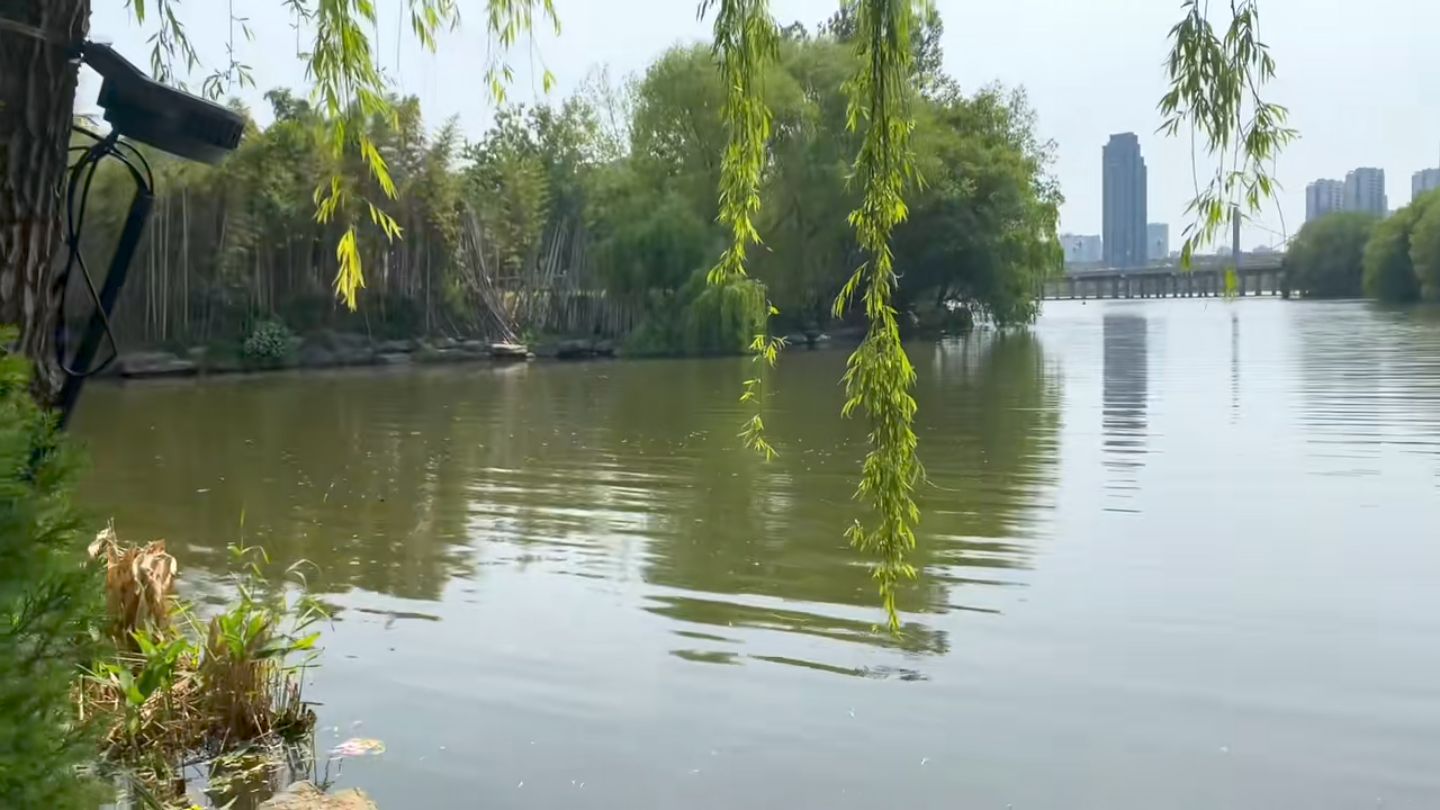 沂蒙奇园旅行图片 3