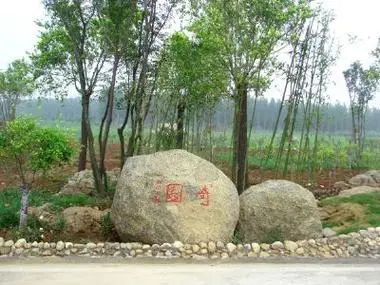 沂蒙奇园旅行图片 2