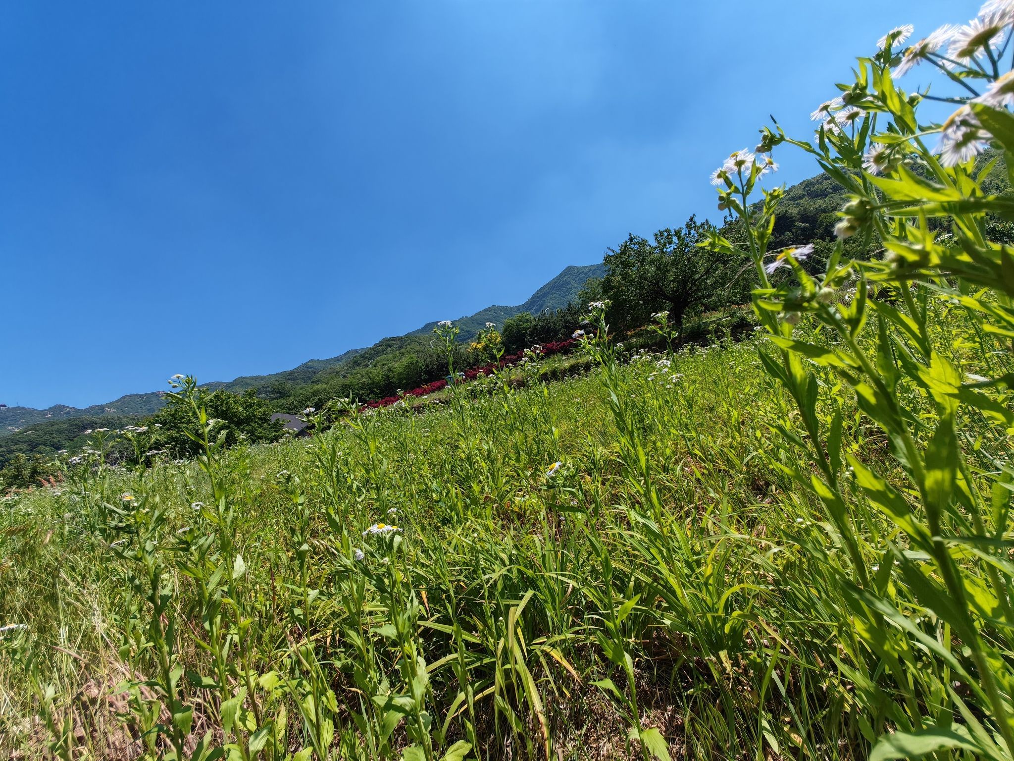 里口山风景名胜区旅行图片 1