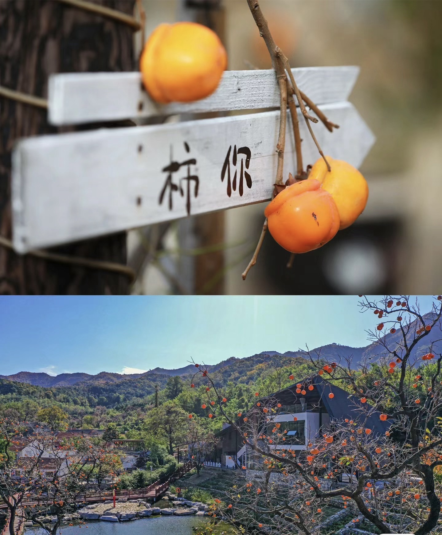 里口山风景名胜区旅行图片 2
