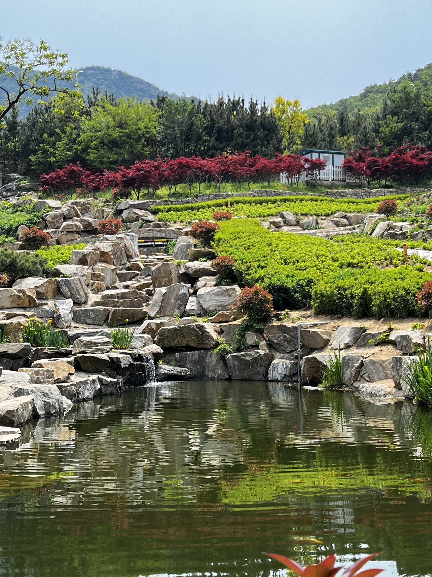 里口山风景名胜区旅行图片 1