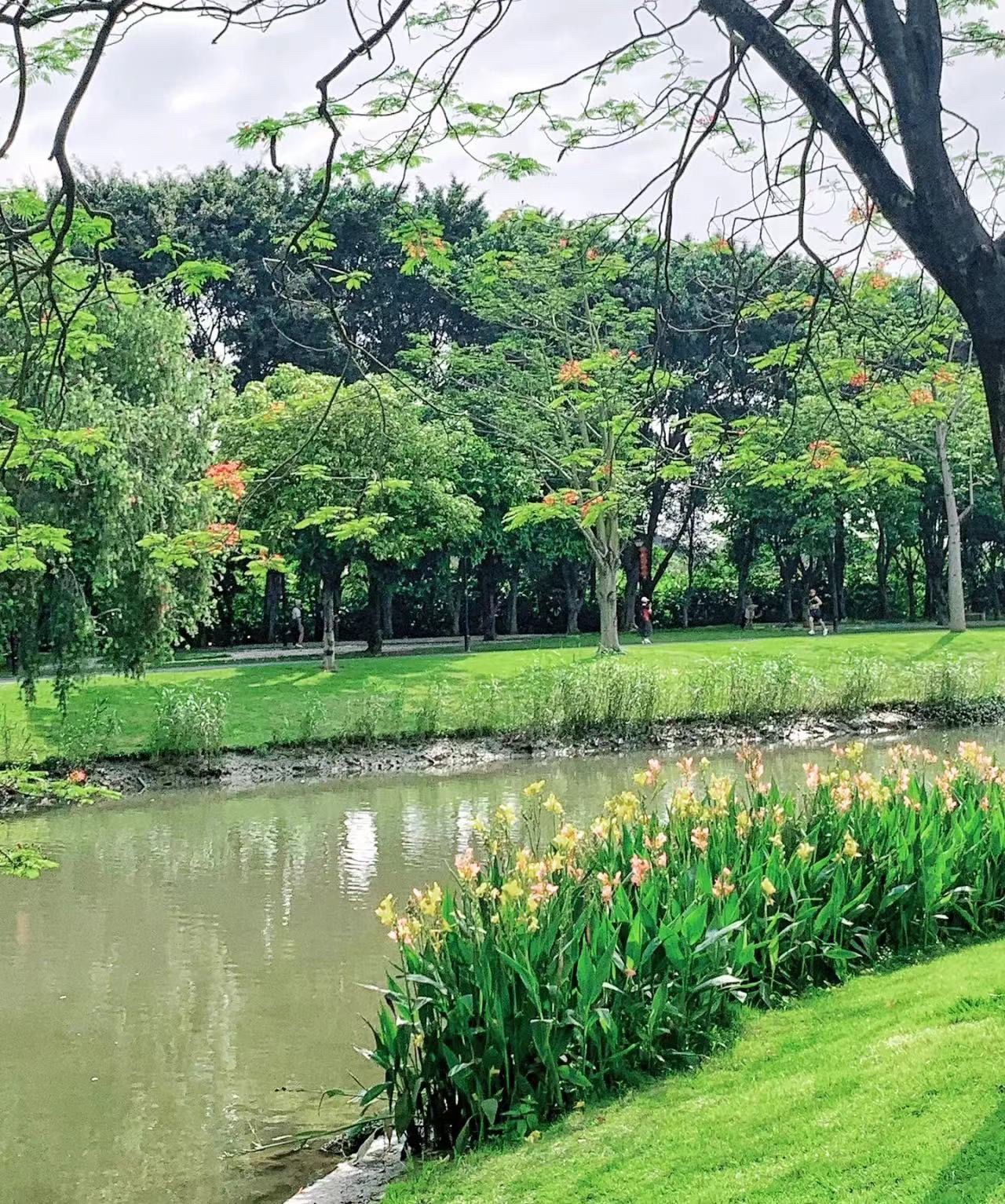 商河大沙河湿地公园旅行图片 3