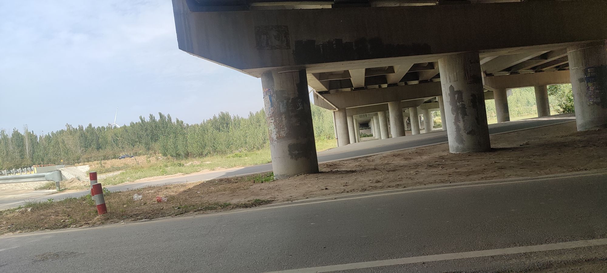 商河大沙河湿地公园旅行图片 3