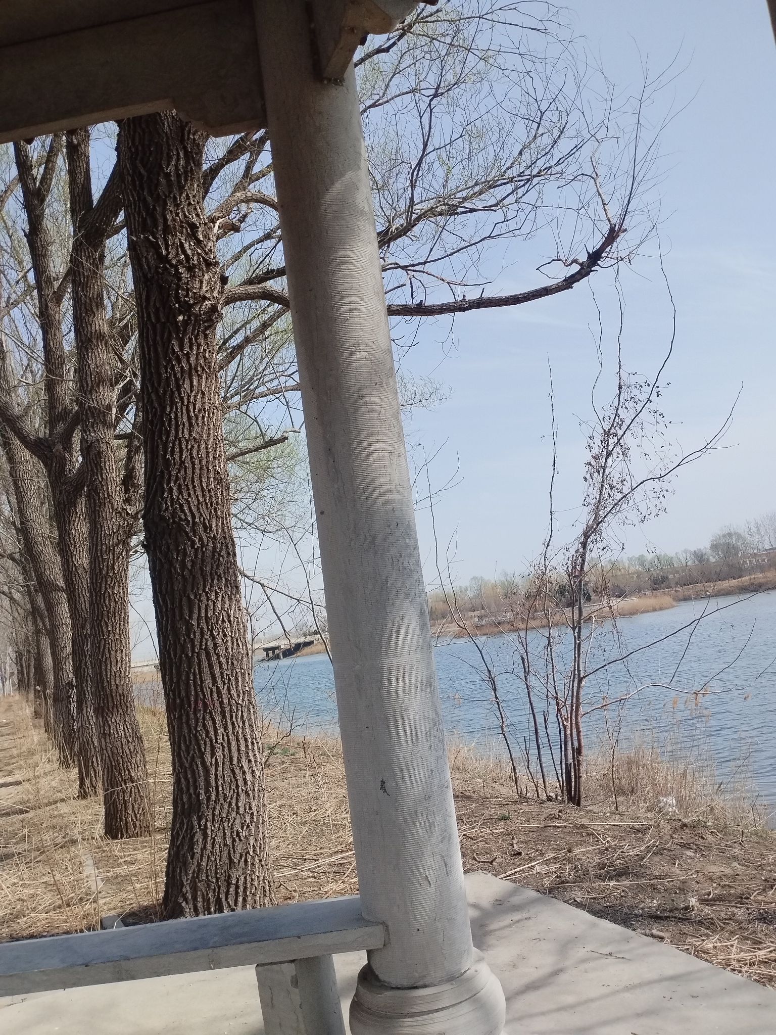 商河大沙河湿地公园旅行图片 3