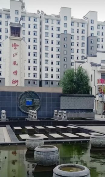 雪山风情街旅行图片 2