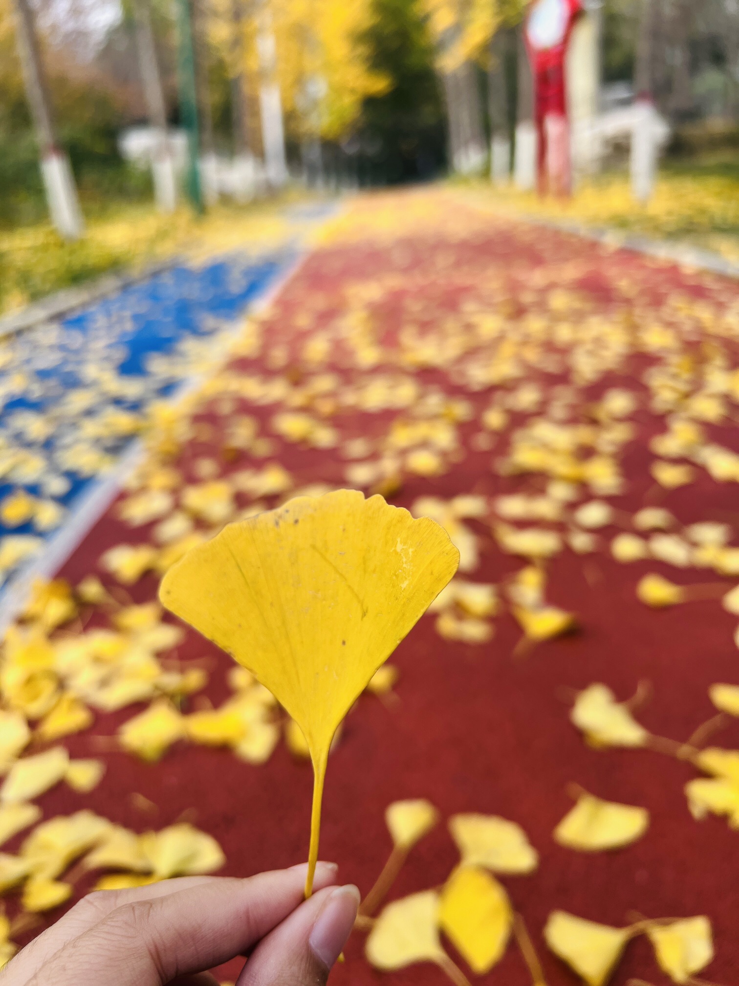 冠县清泉河生态风景区旅行图片 2