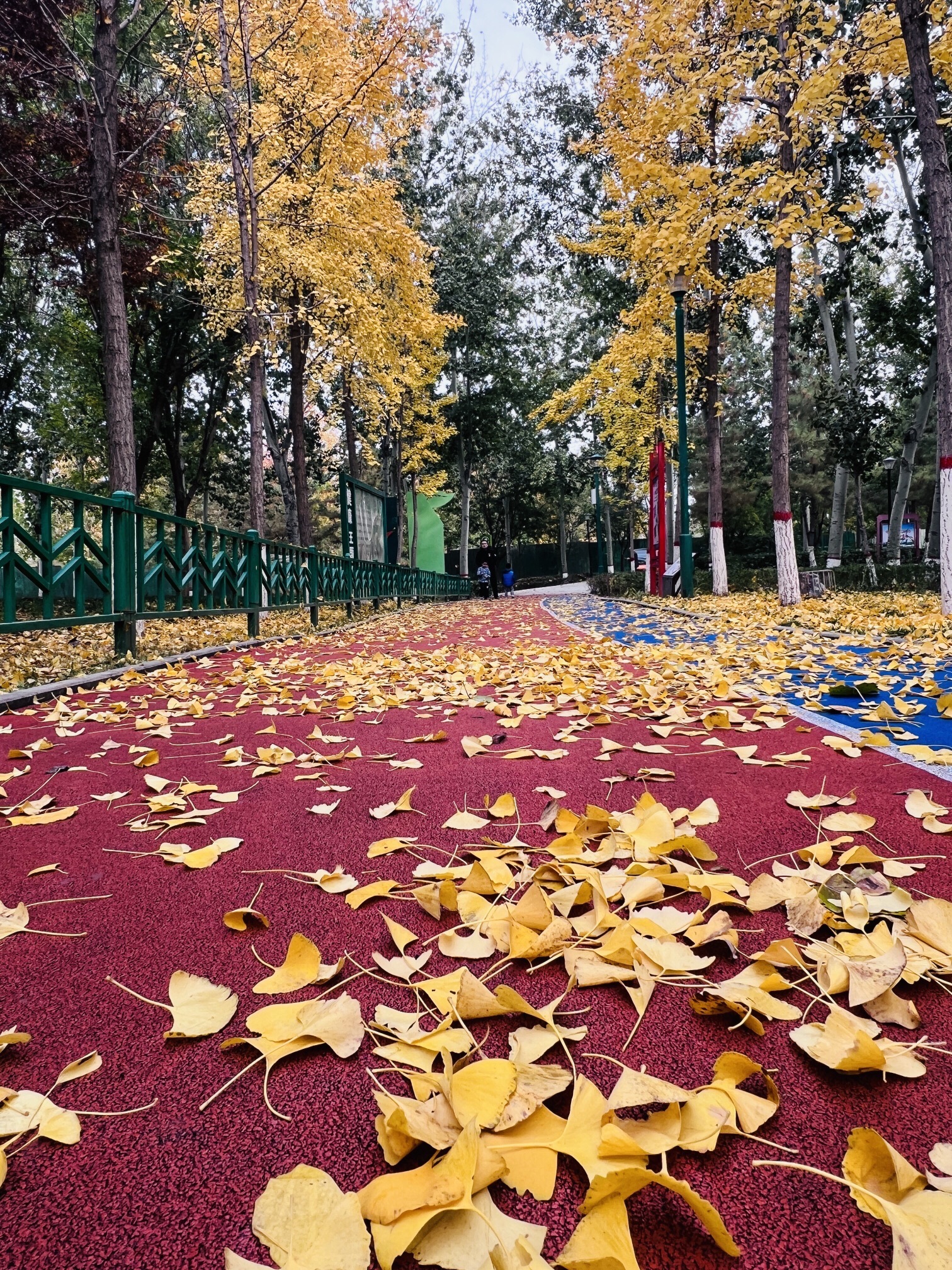 冠县清泉河生态风景区旅行图片 3
