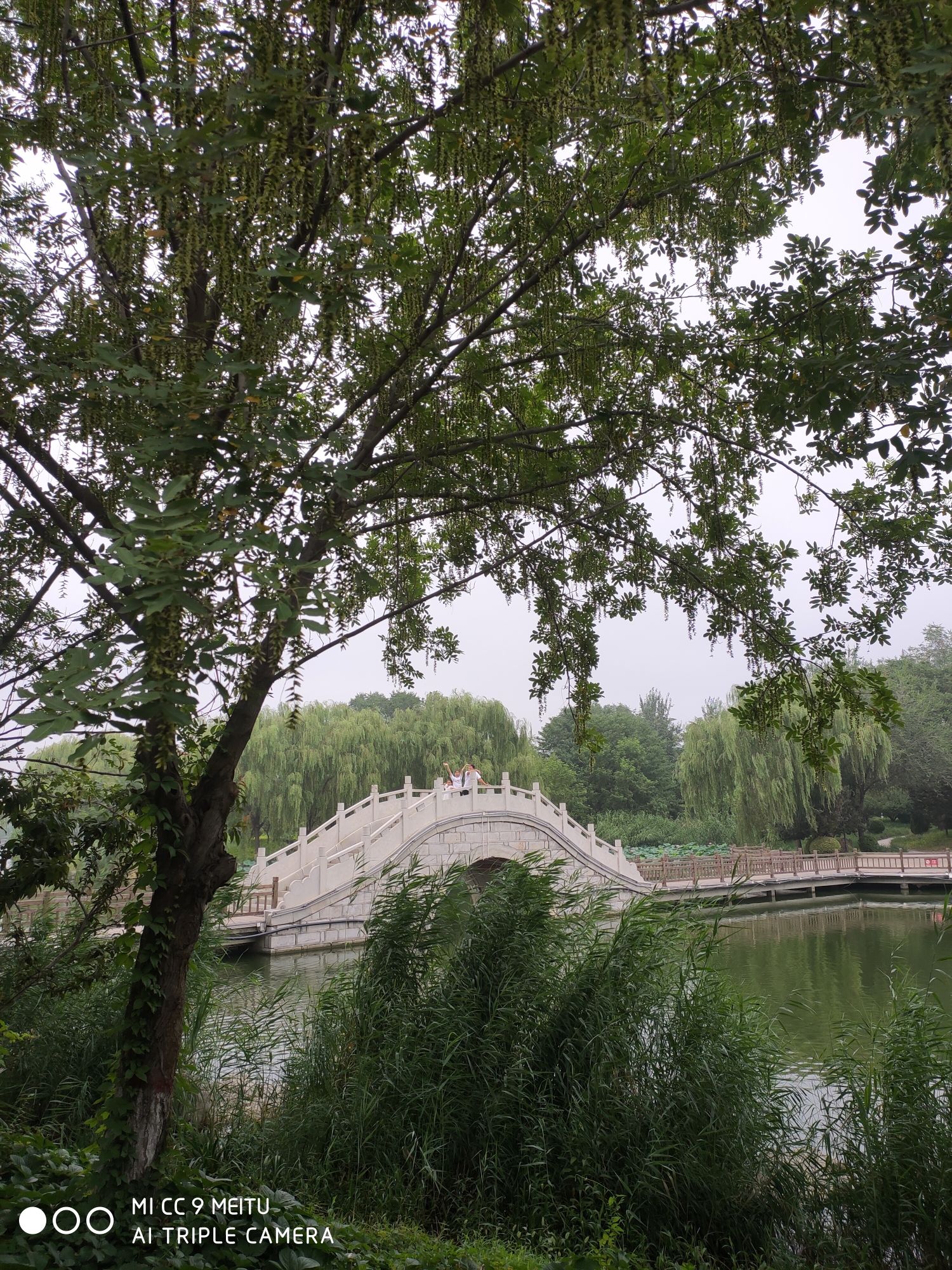 冠县清泉河生态风景区旅行图片 2