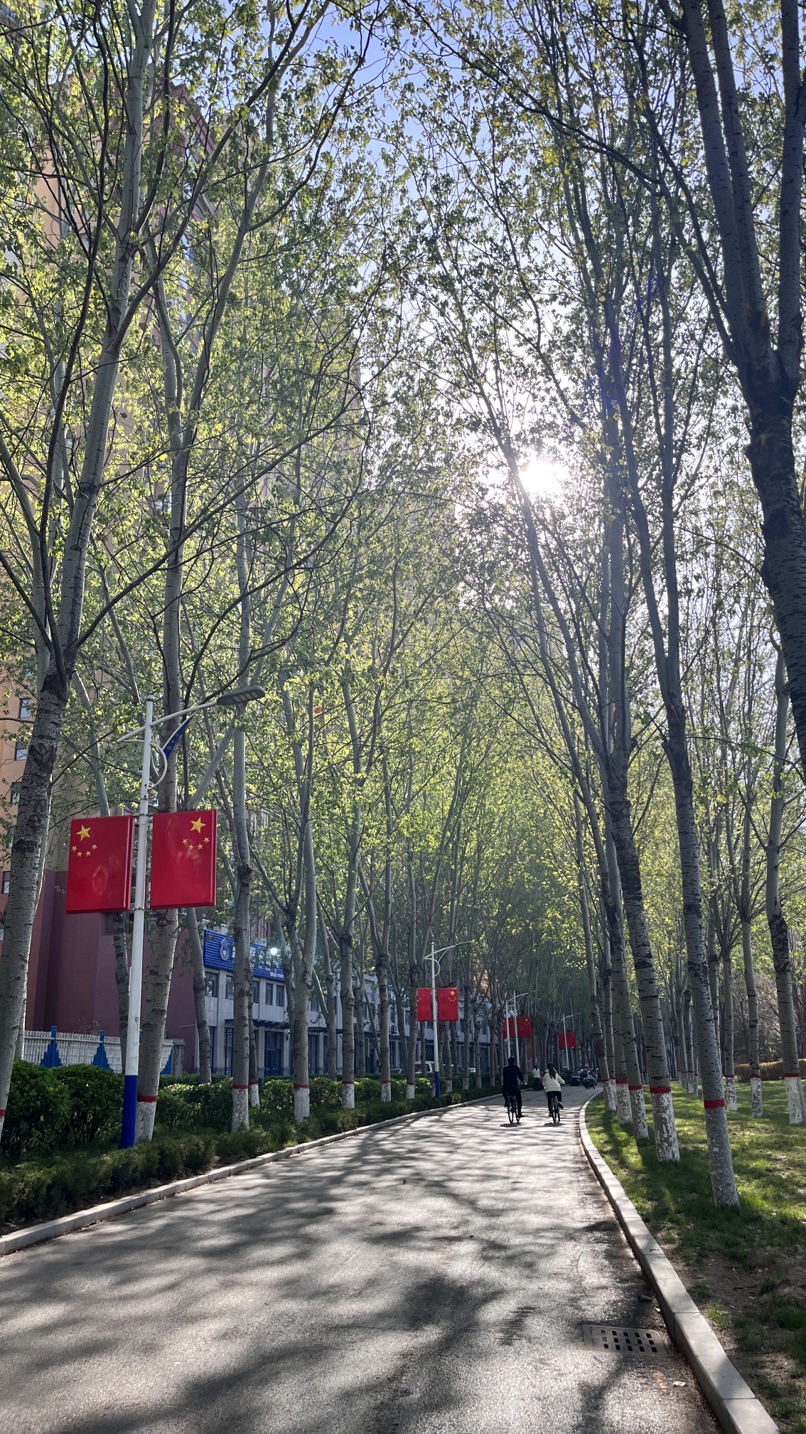 冠县清泉河生态风景区旅行图片 2