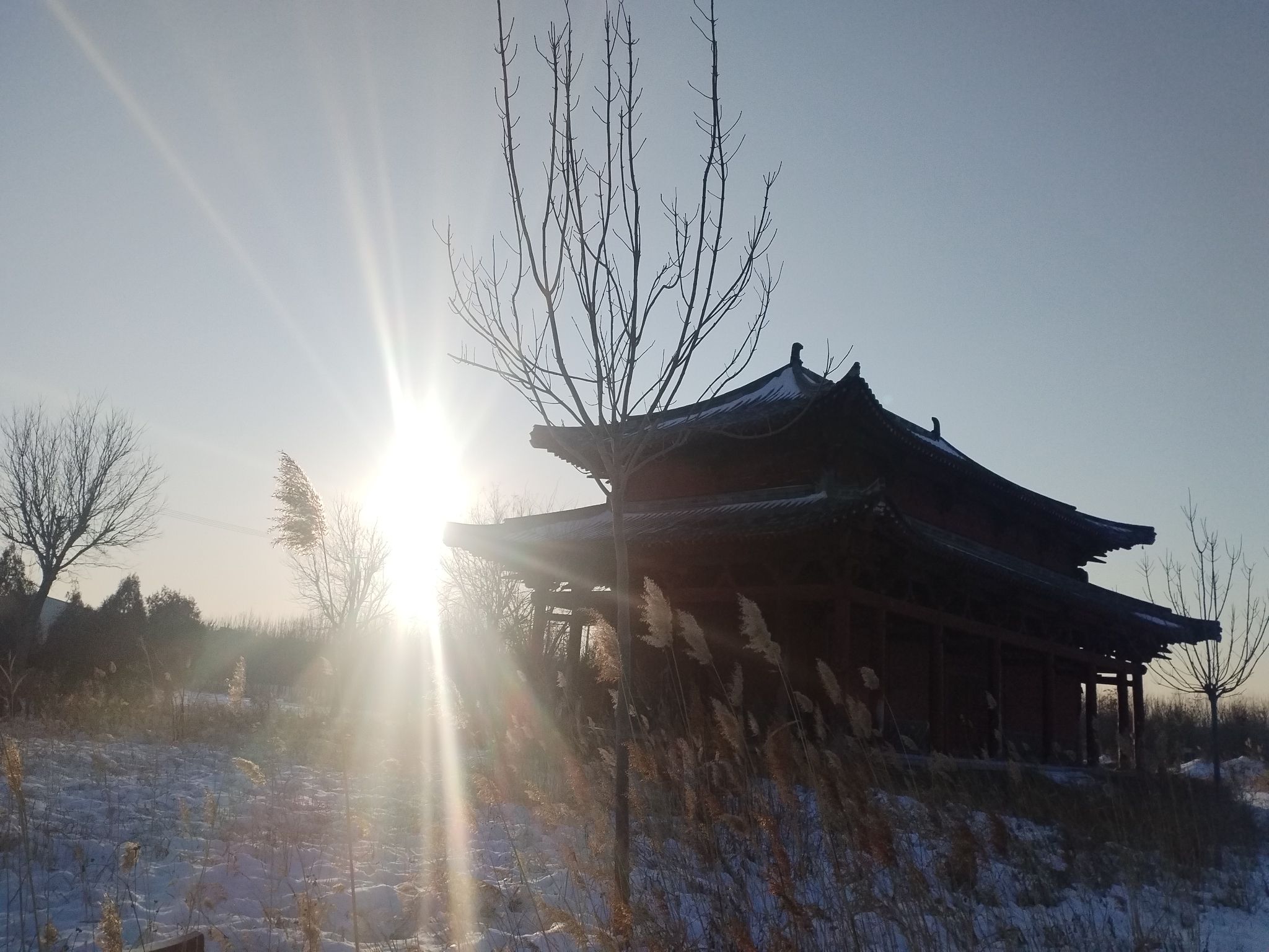 魏王豹墓旅行图片 1