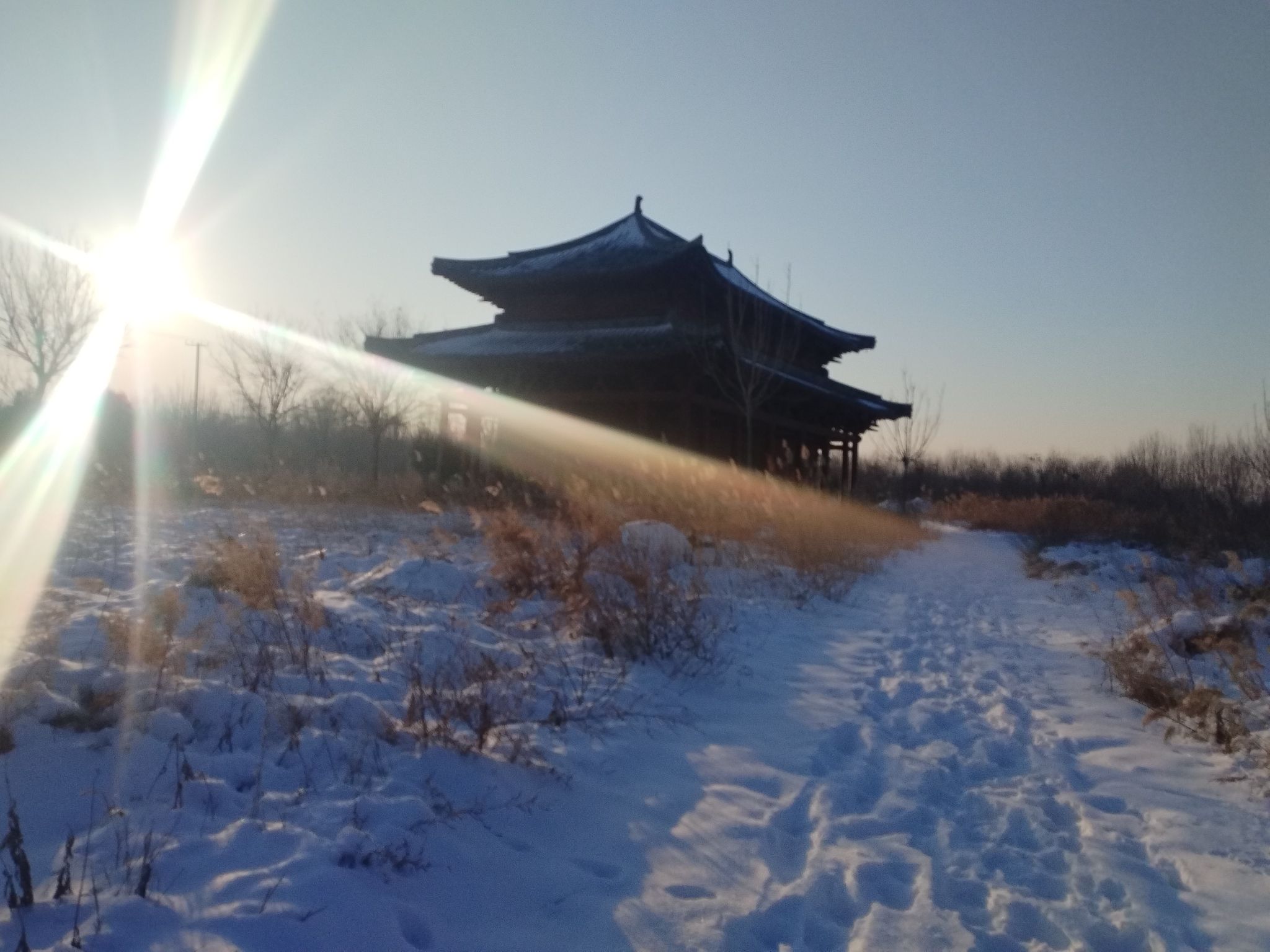魏王豹墓旅行图片 2