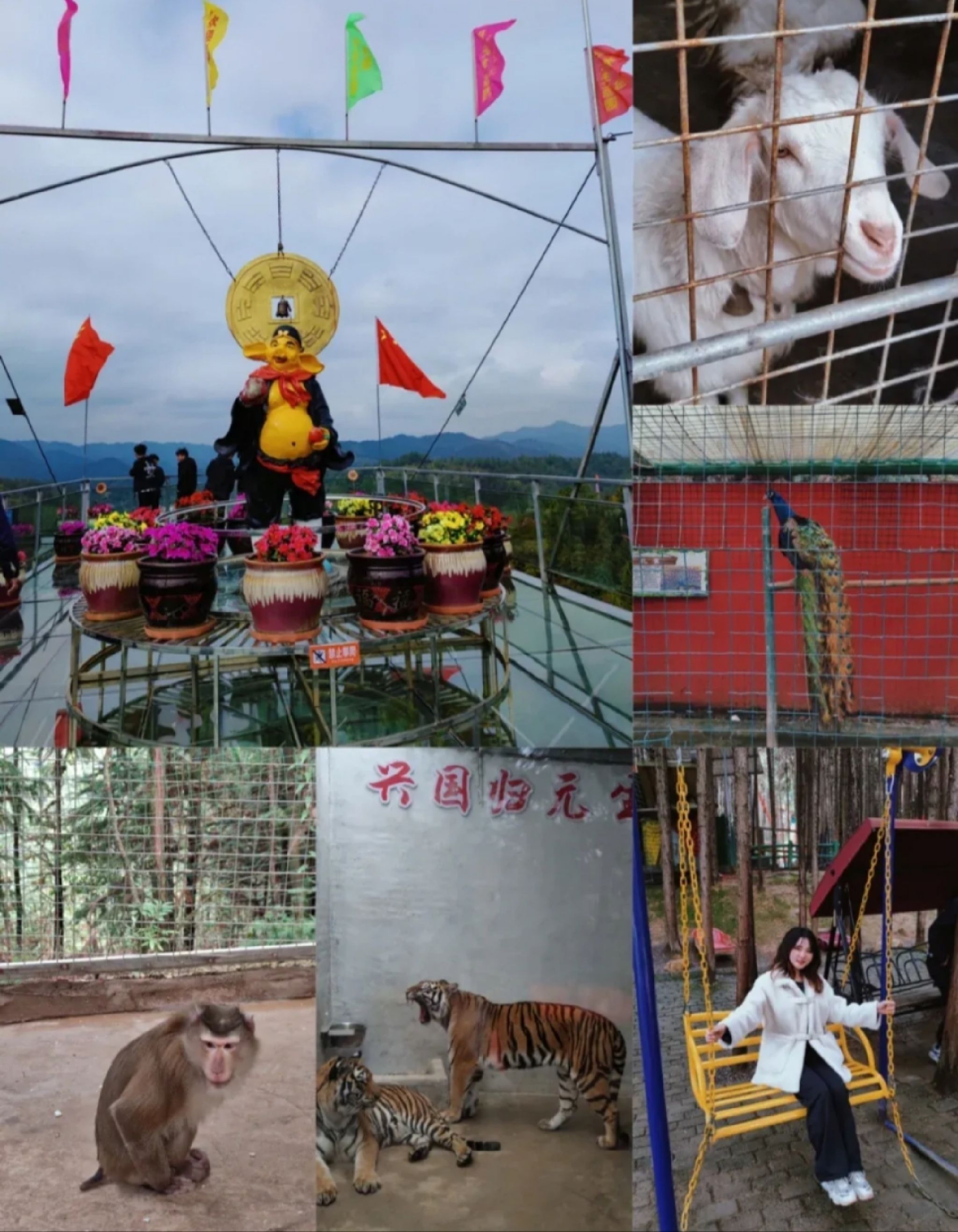 老营盘玻璃桥旅行图片 2