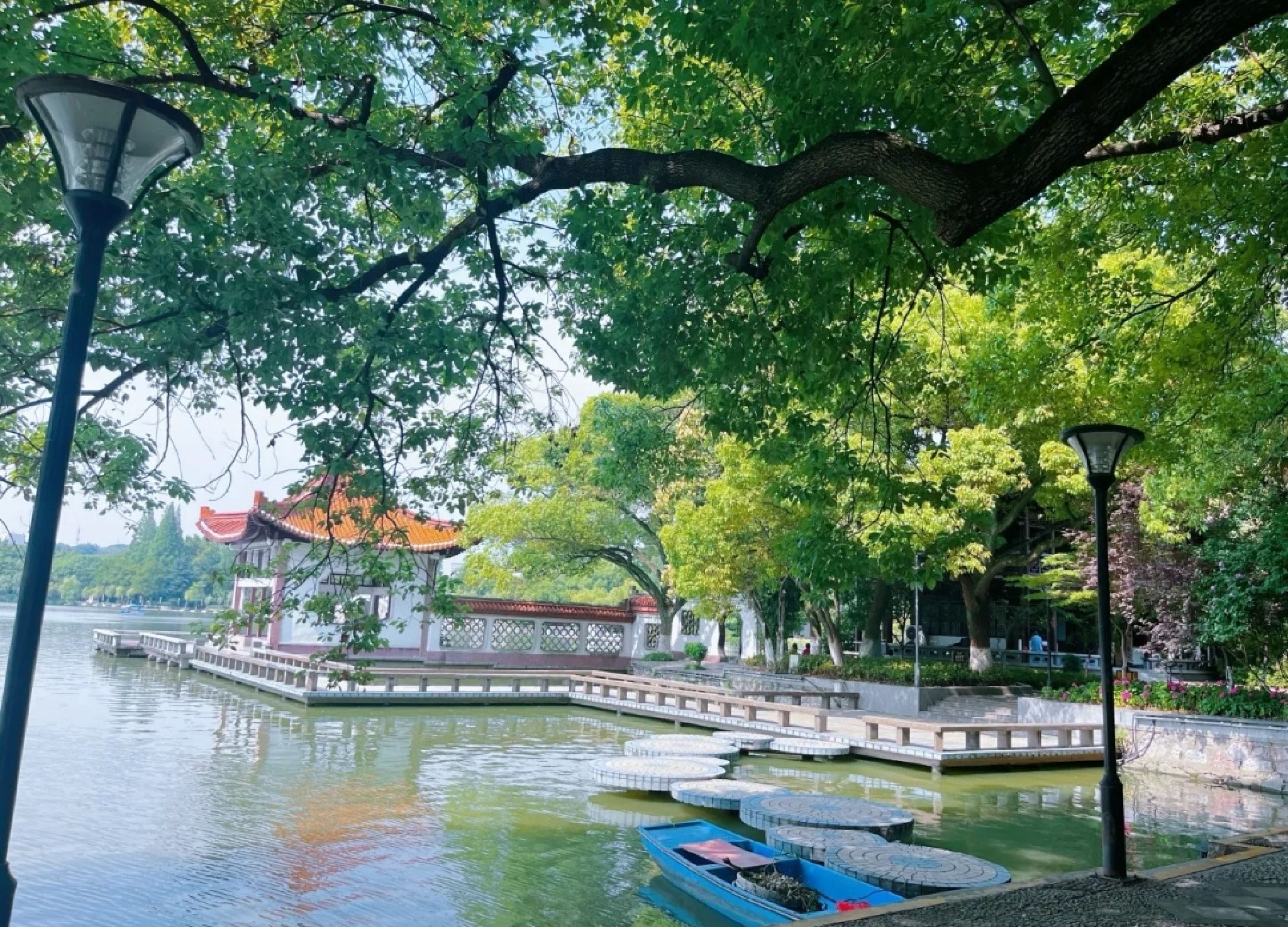 镜湖旅行图片 1