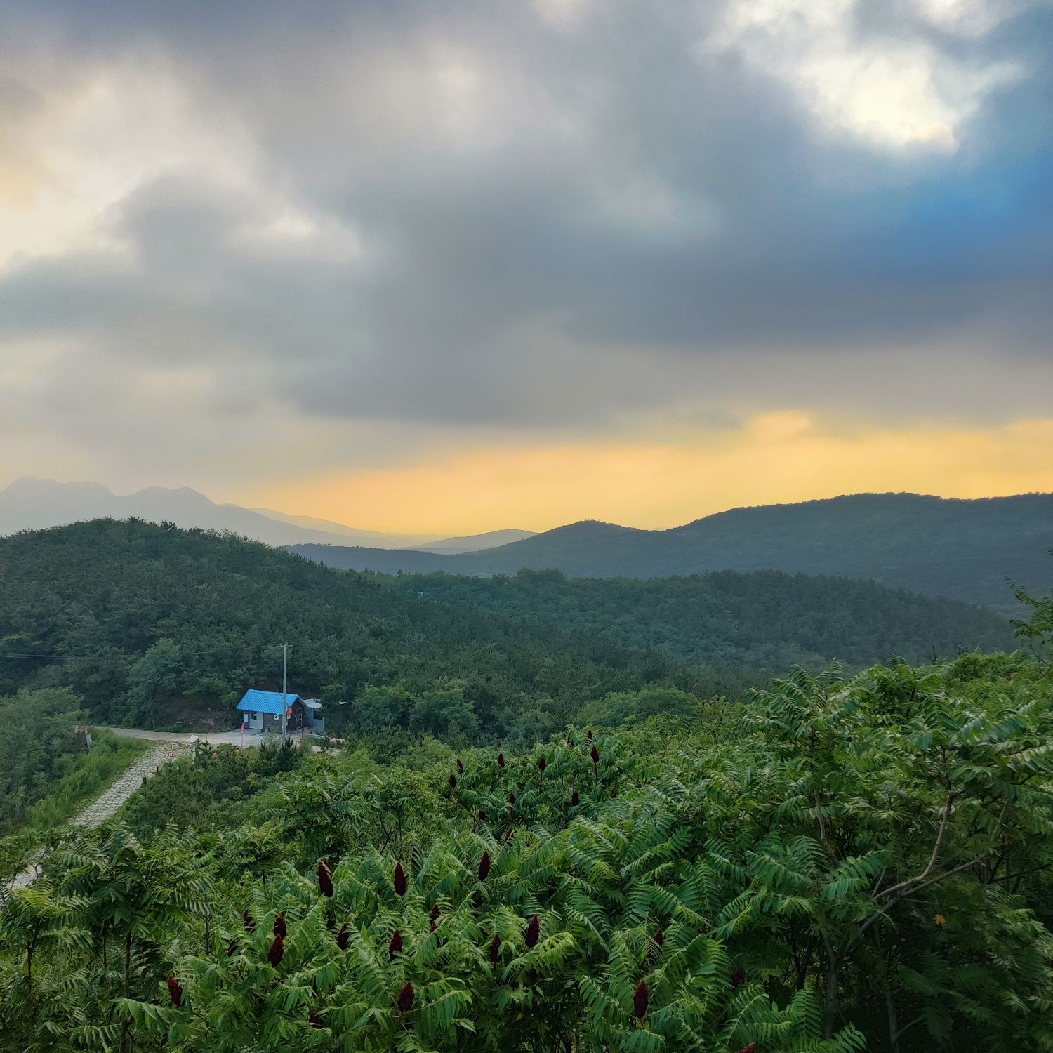 莱州初家村景区