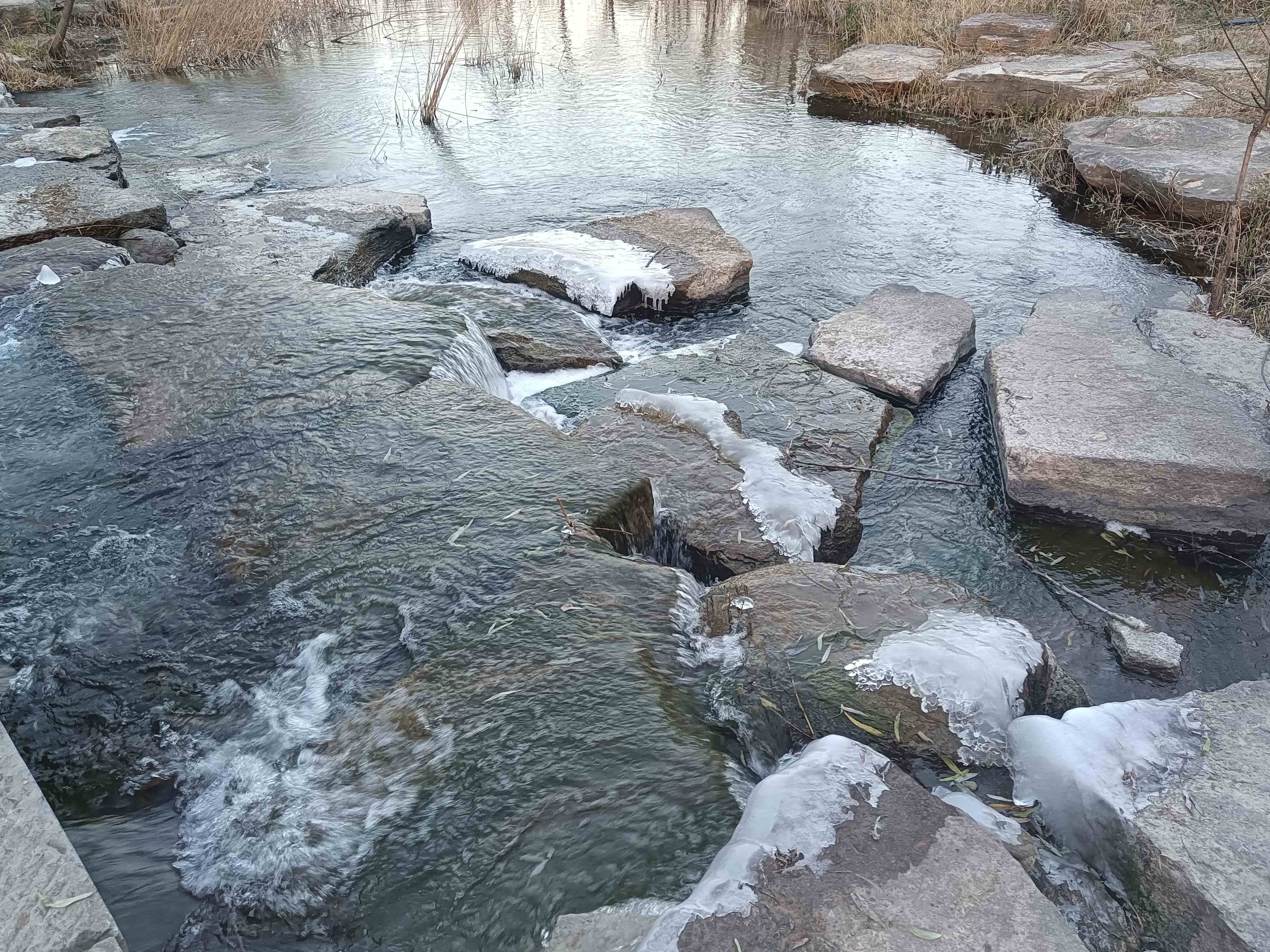 潍城区大圩河景区旅行图片 3