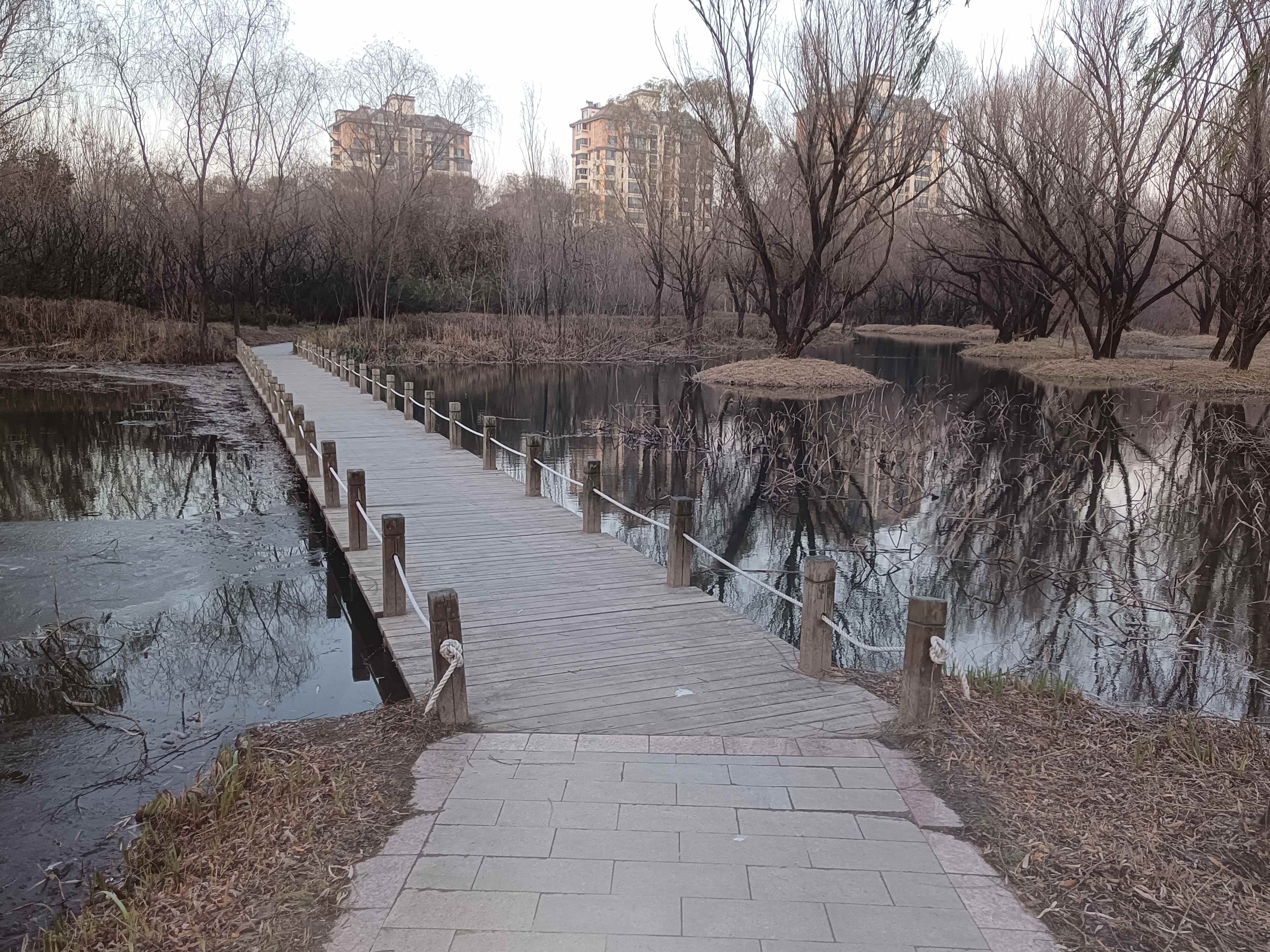 潍城区大圩河景区旅行图片 1