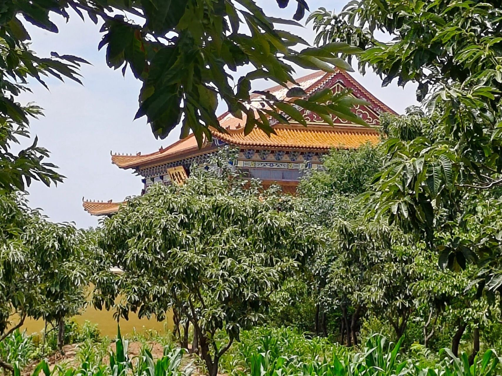 仙足山风景区旅行图片 3