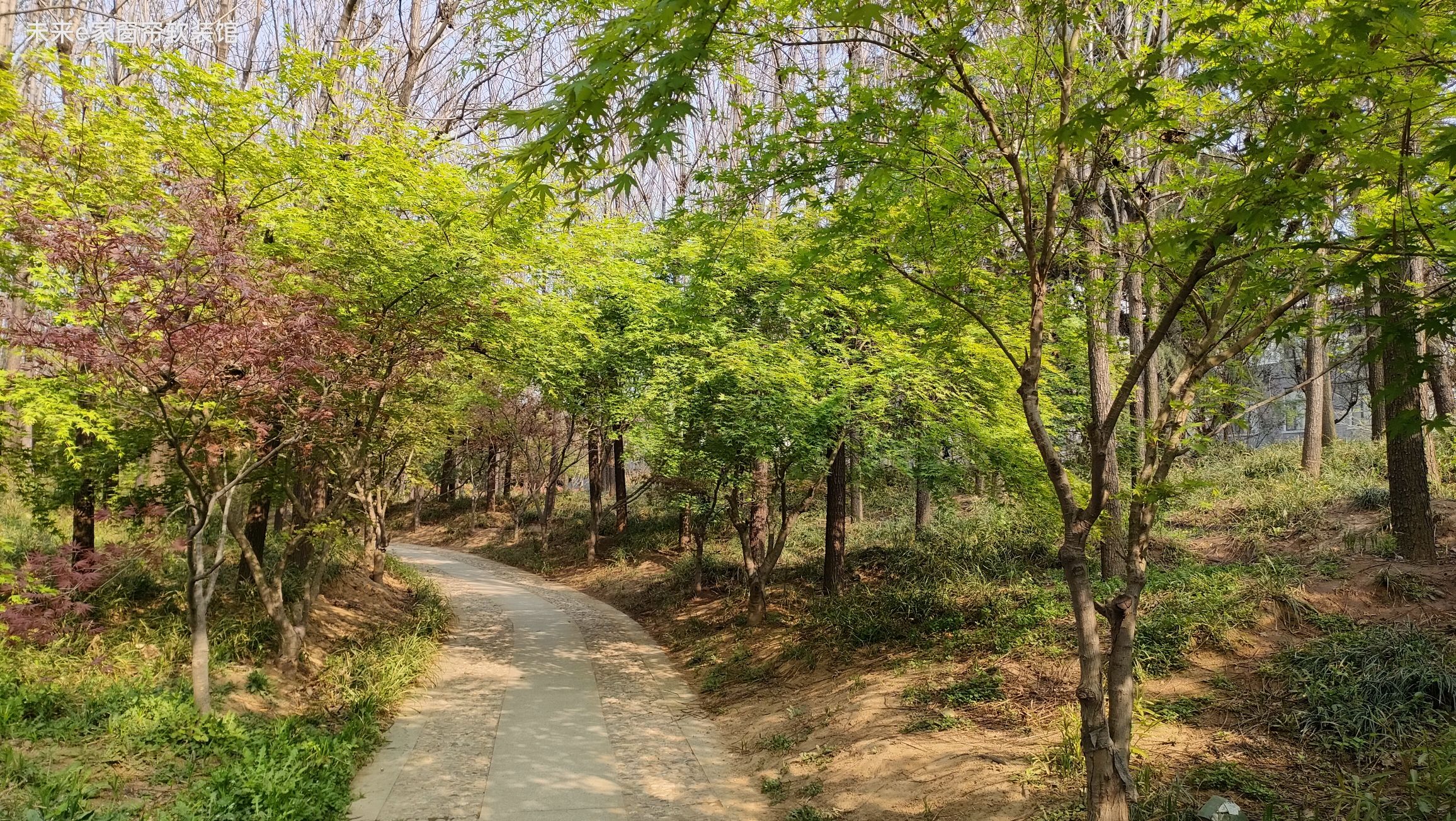 蓼河十里文化景观公园旅行图片 2