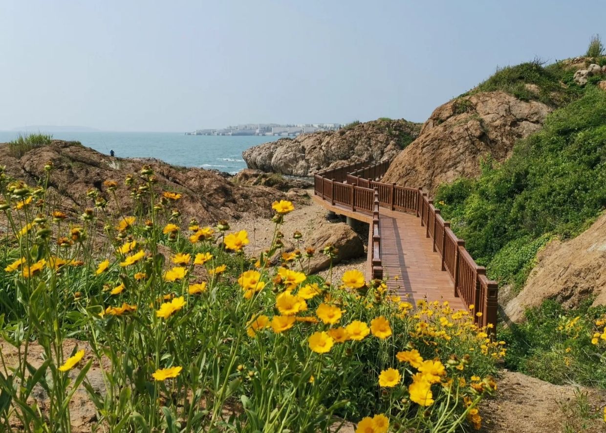 凤凰岛旅游度假区旅行图片 3