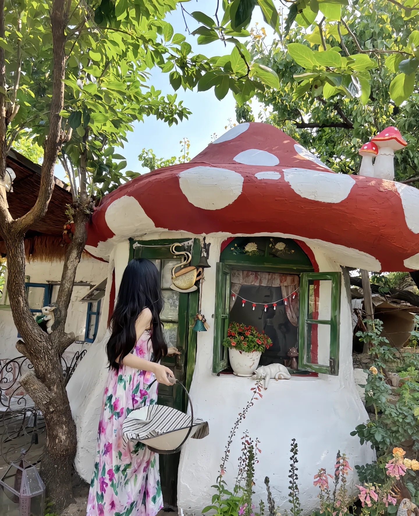 凤凰岛旅游度假区旅行图片 3