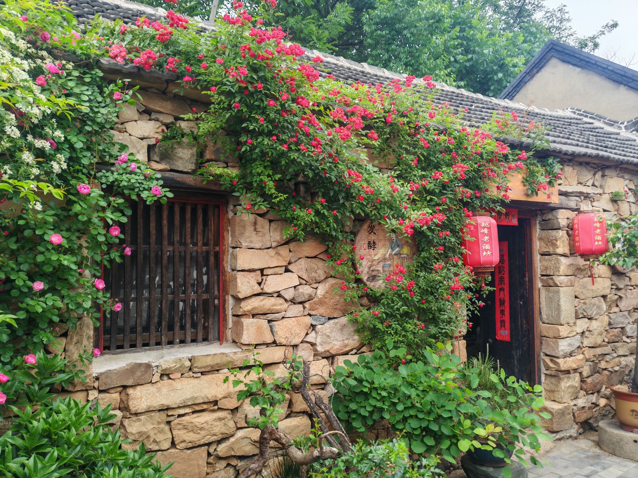 越峰山景区旅行图片 3