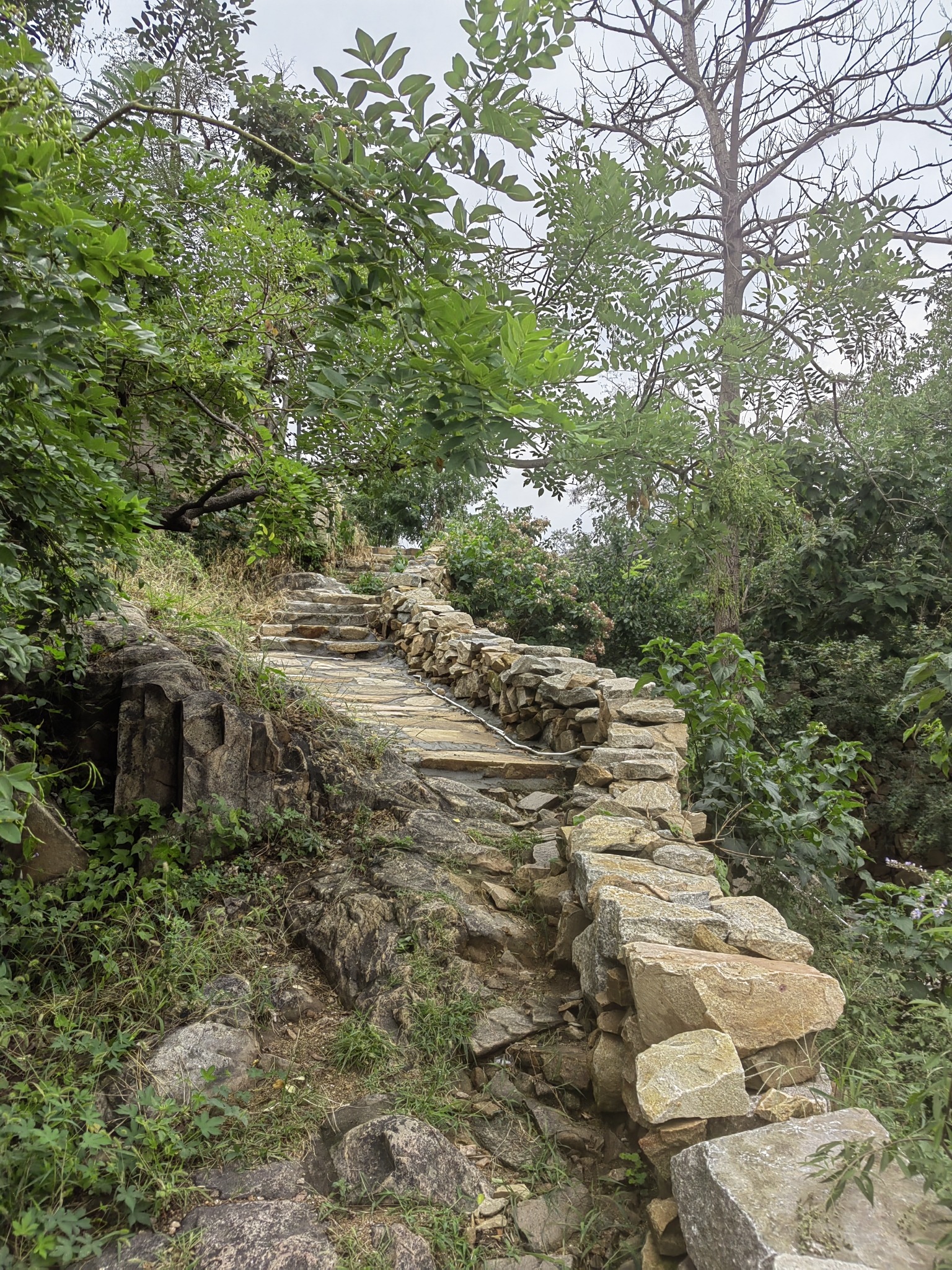 越峰山景区旅行图片 3