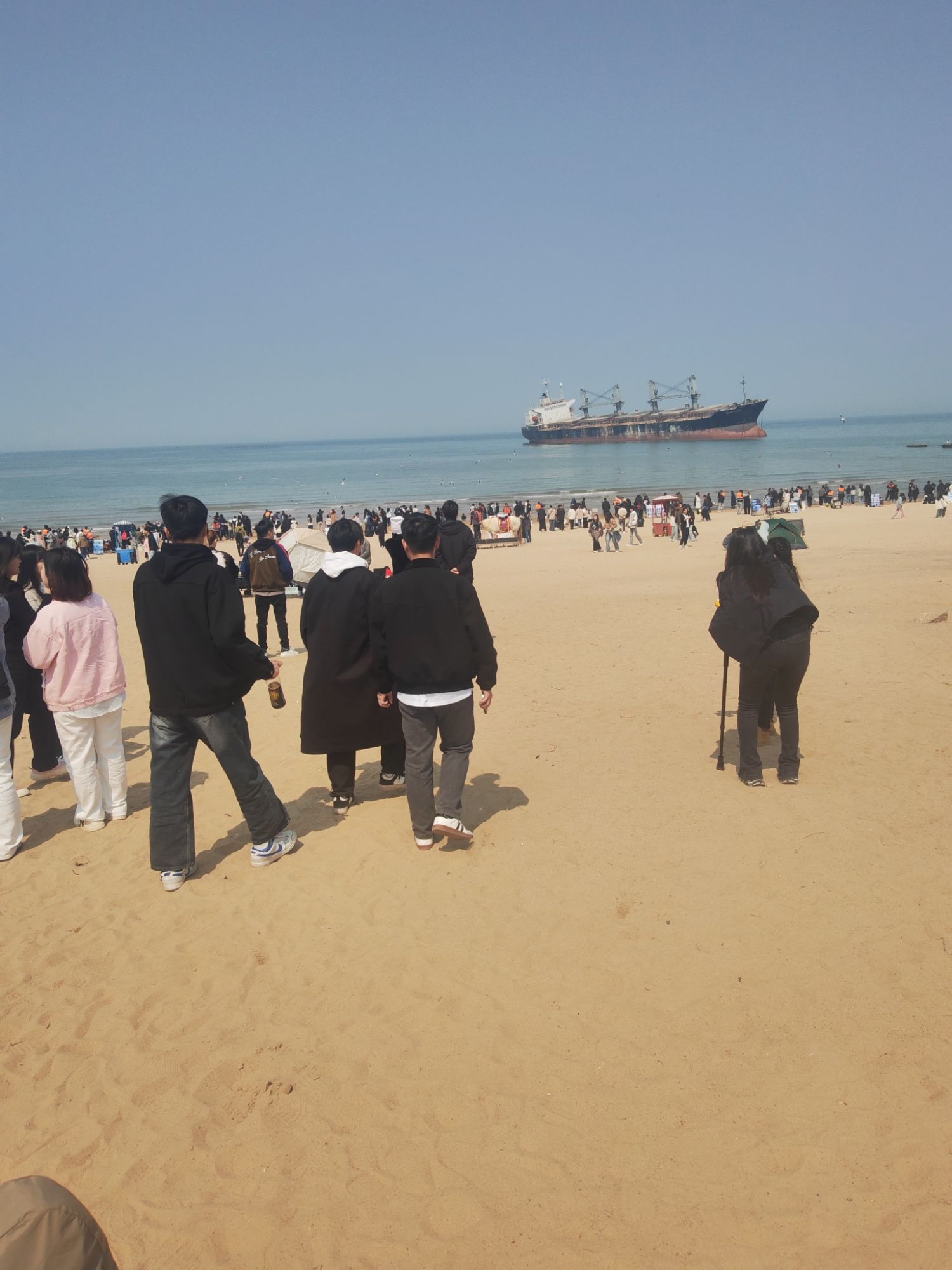 荣成成山森林公园旅行图片 1