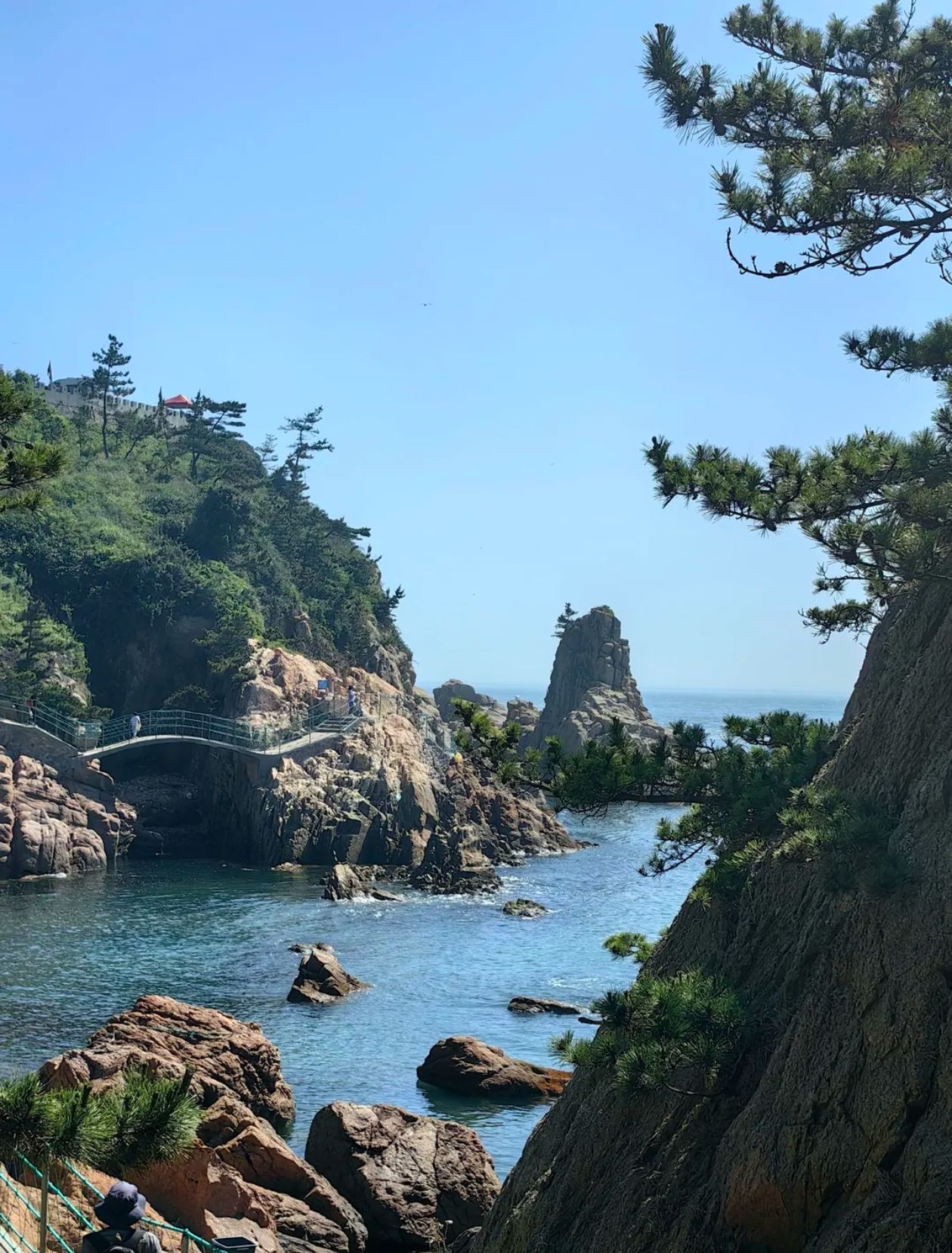 荣成成山森林公园旅行图片 1