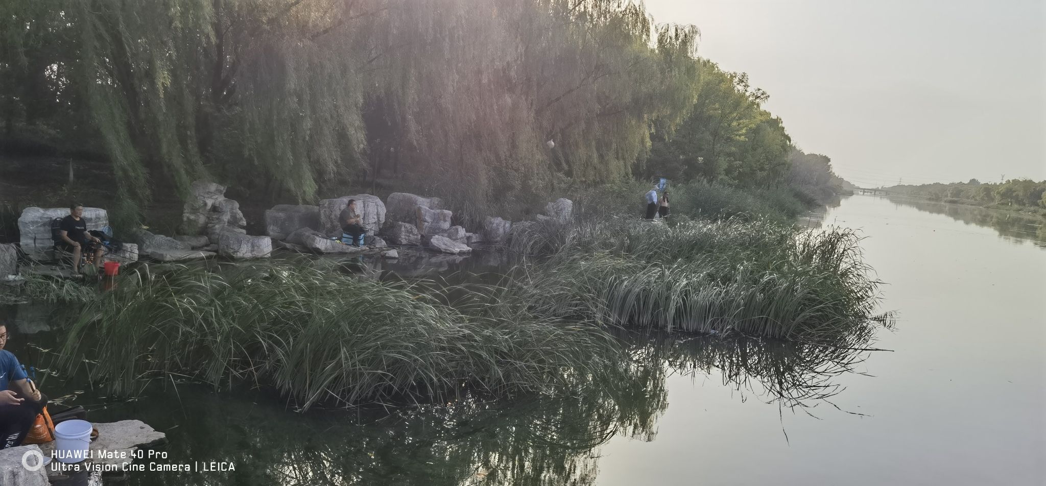 北胶新河湿地公园旅行图片 3