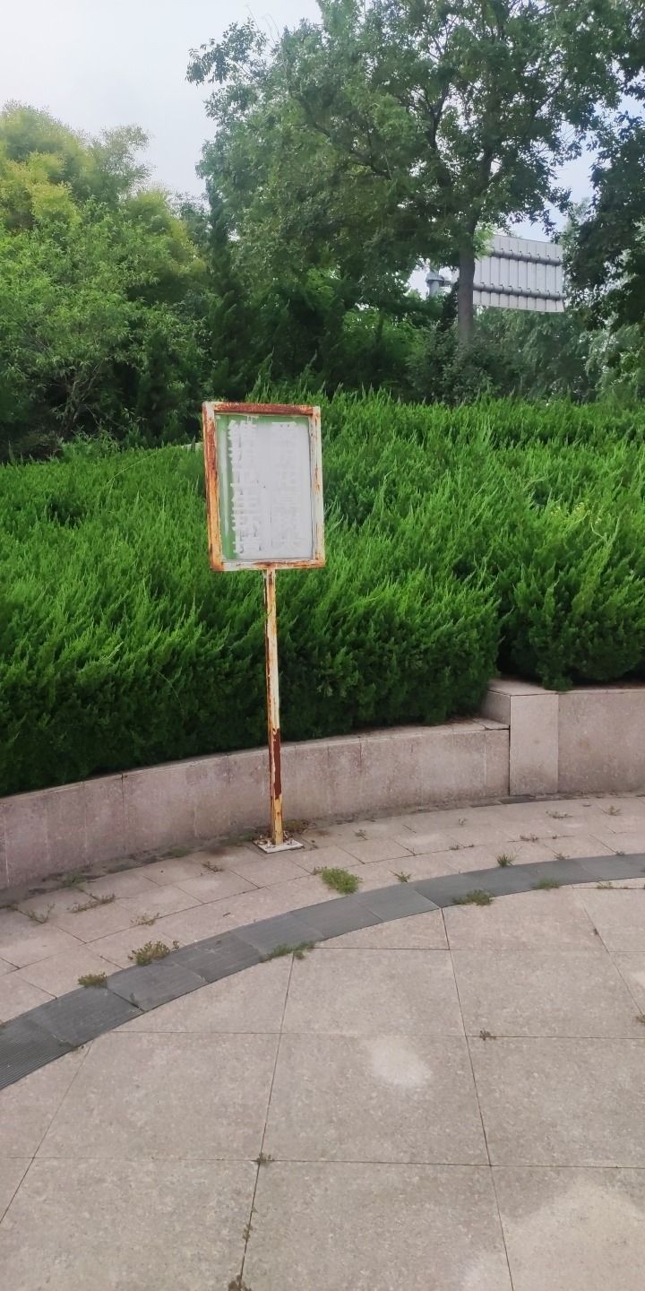 北胶新河湿地公园旅行图片 2