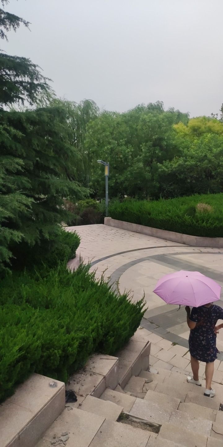 北胶新河湿地公园旅行图片 1