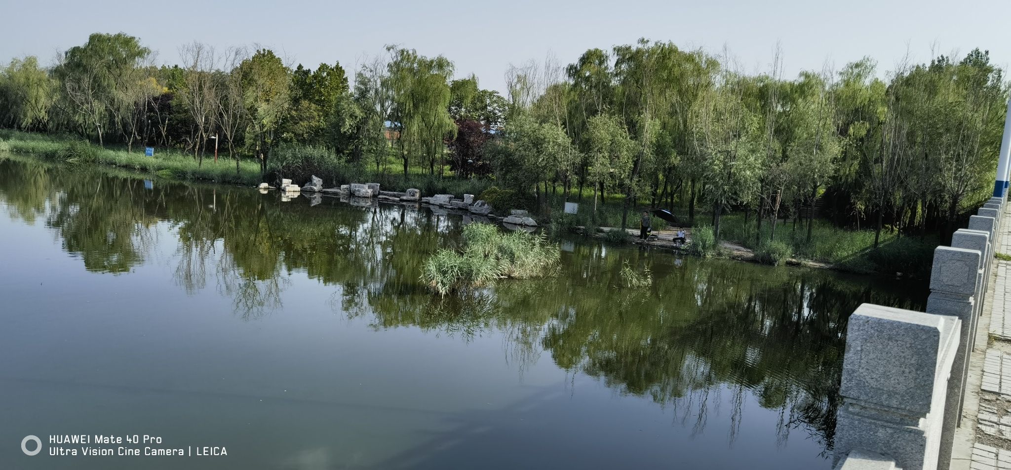 北胶新河湿地公园旅行图片 1