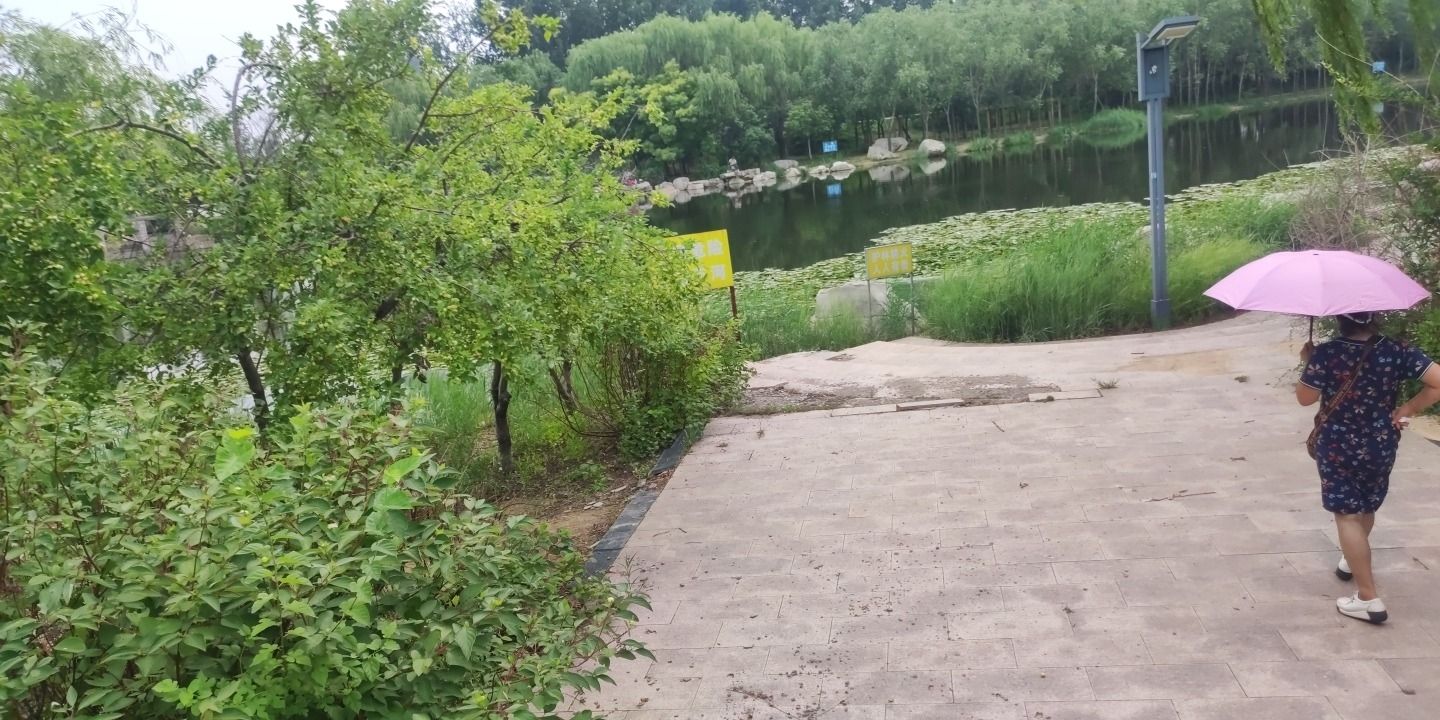 北胶新河湿地公园旅行图片 3