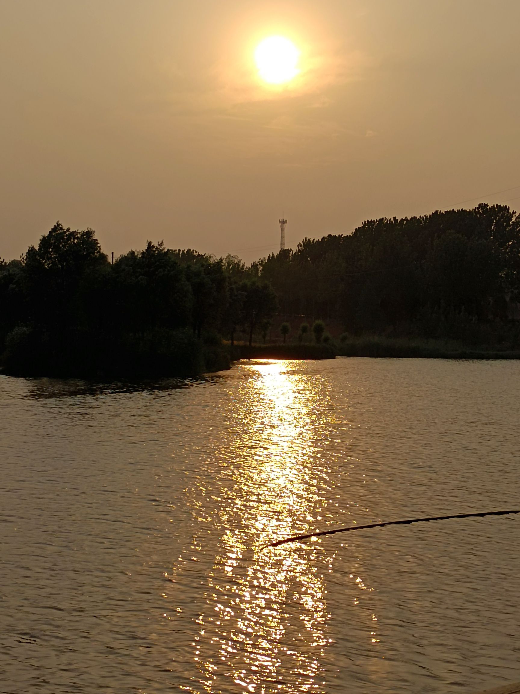 莒南县龙王河湿地公园旅行图片 2