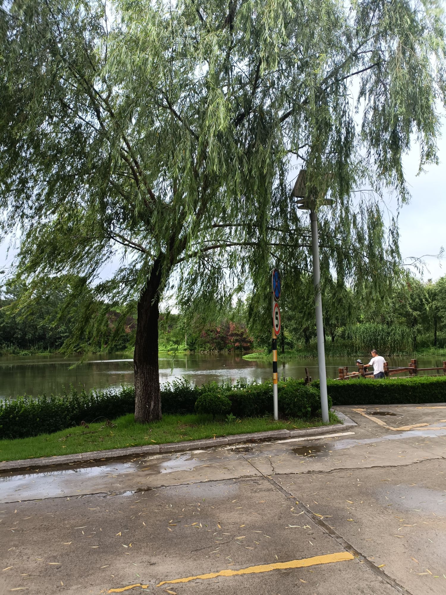 莒南县龙王河湿地公园旅行图片 1