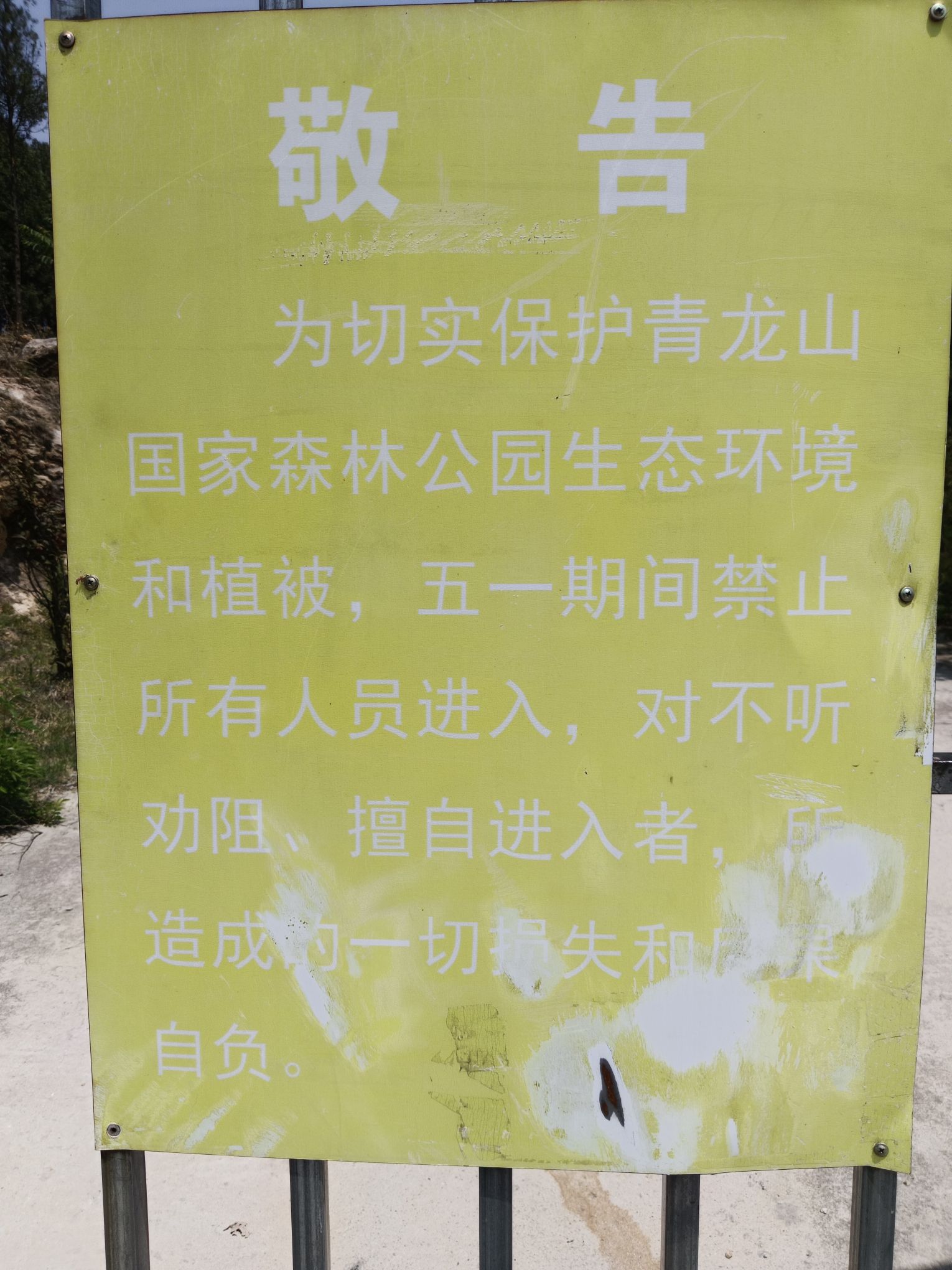 泗水县青龙山森林公园旅行图片 2