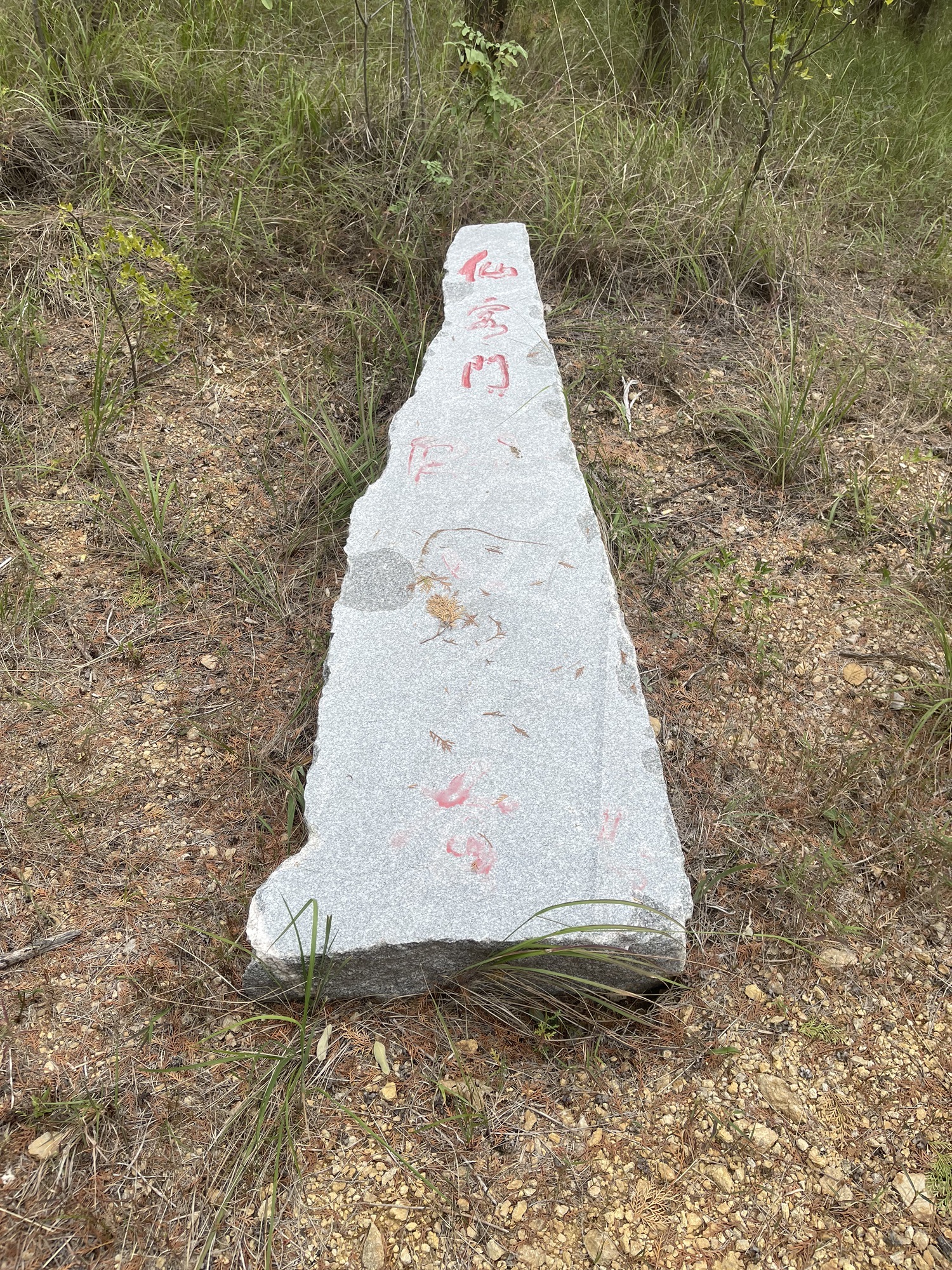 泗水县青龙山森林公园旅行图片 2