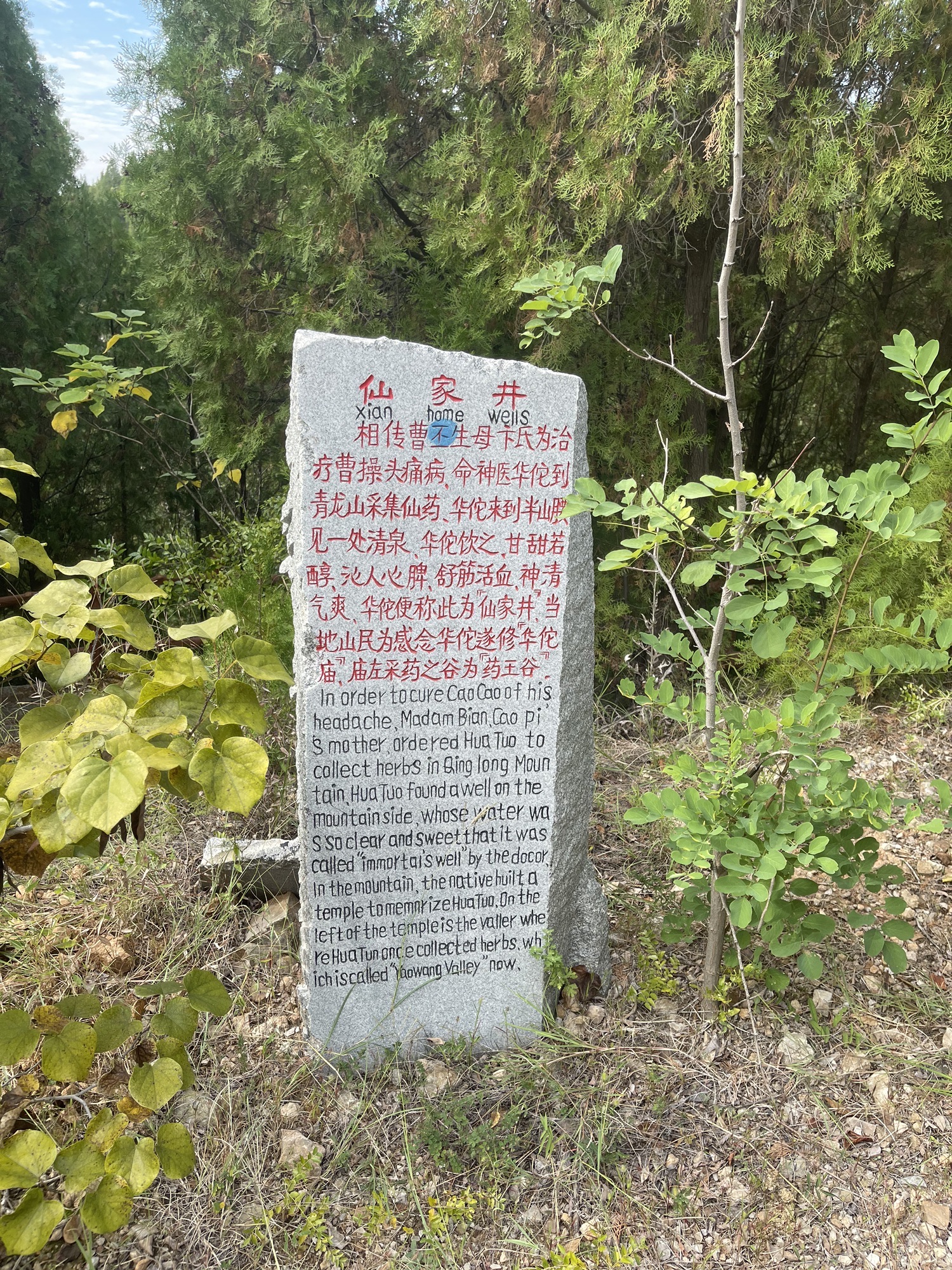 泗水县青龙山森林公园旅行图片 3