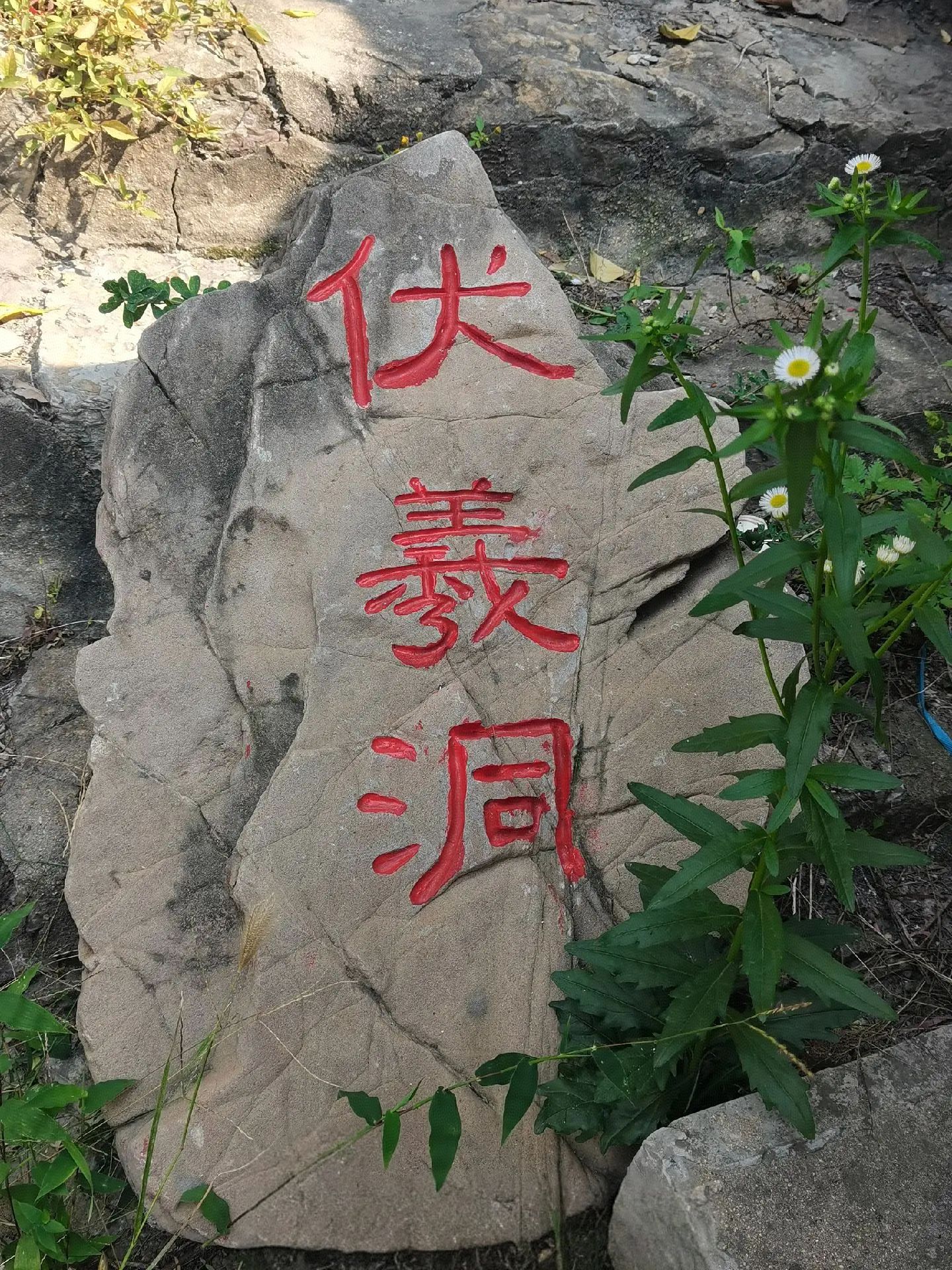 泗水县青龙山森林公园旅行图片 3