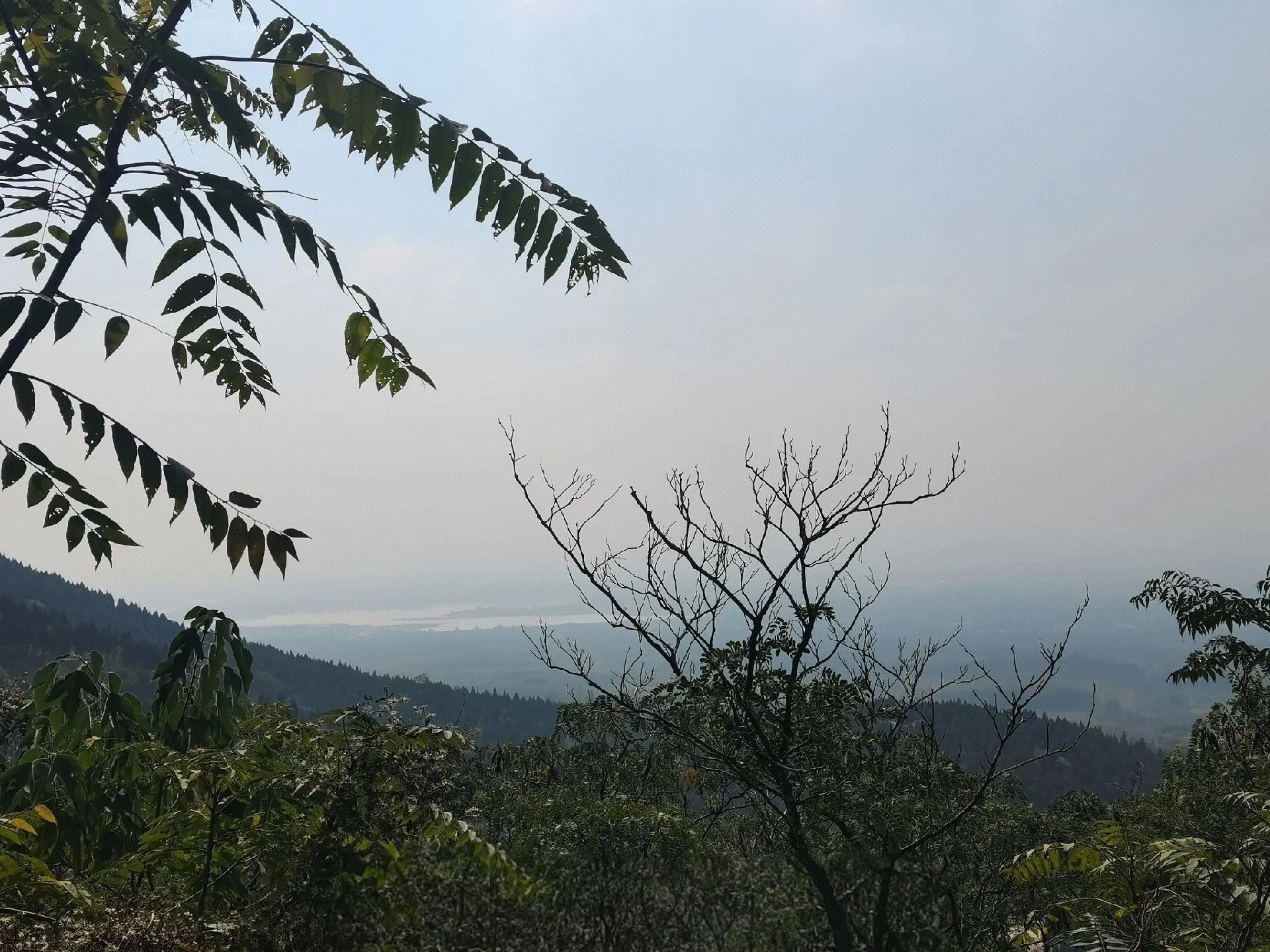 泗水县青龙山森林公园旅行图片 2