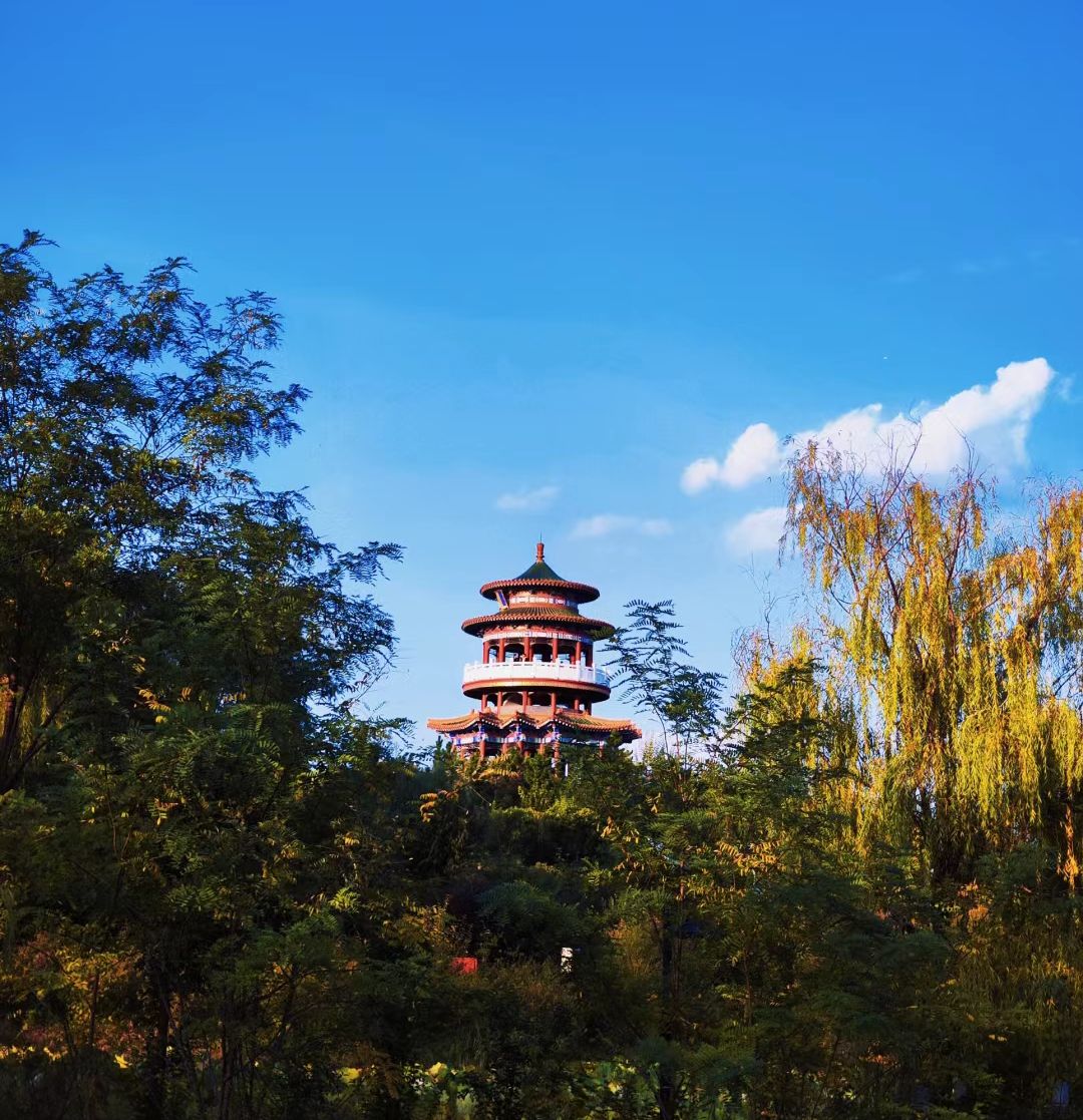 泗水滨公园旅行图片 3